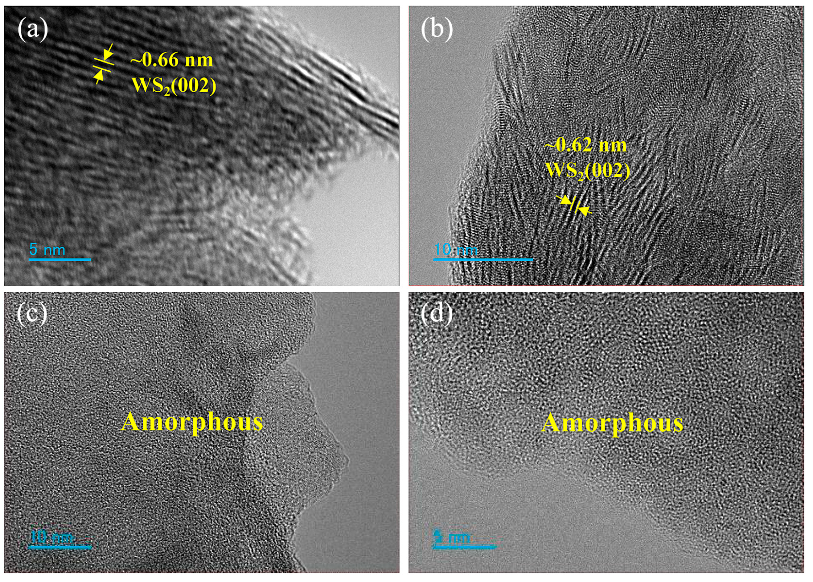 Coatings 15 00173 g010
