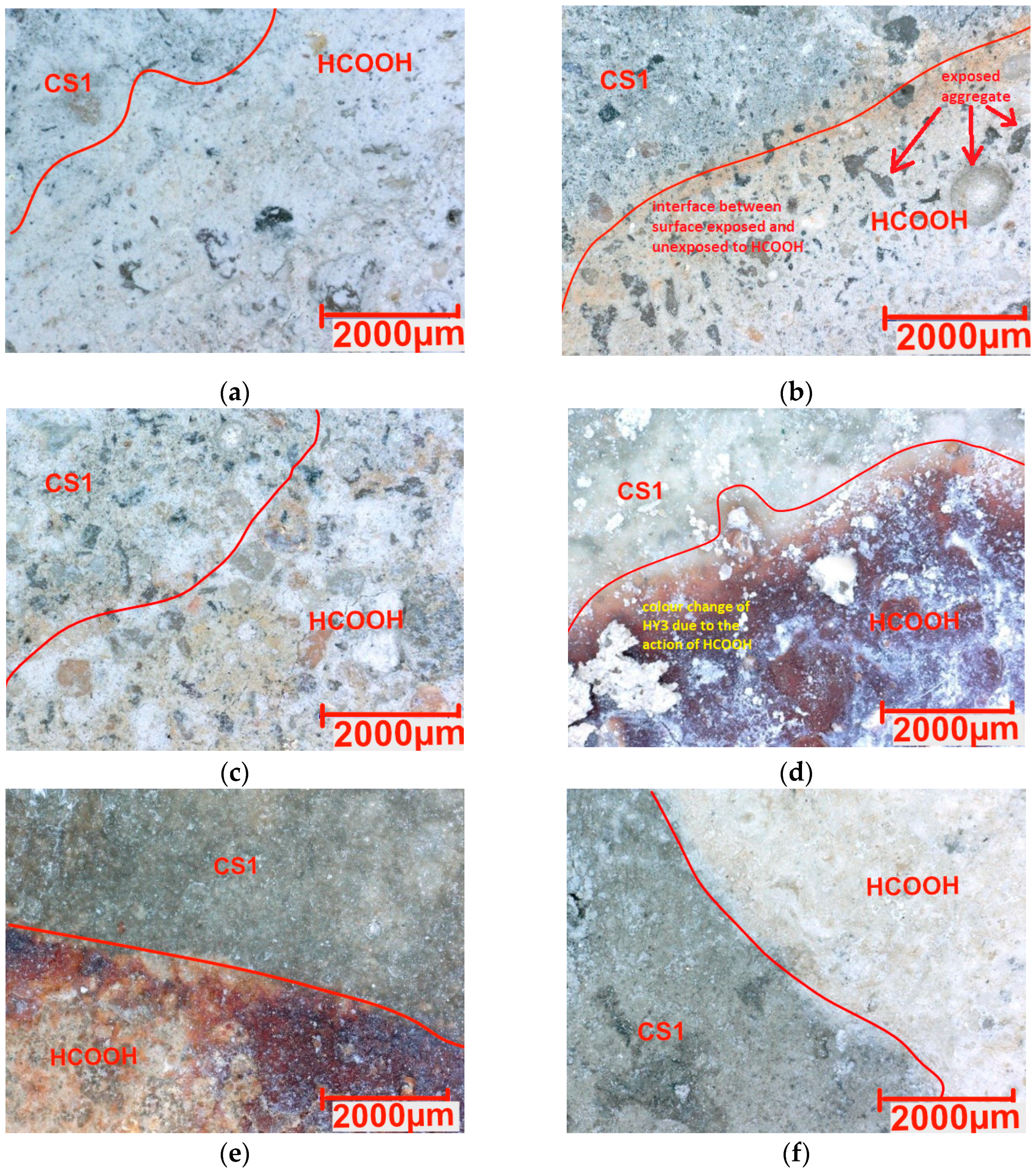 Coatings 15 00175 g006