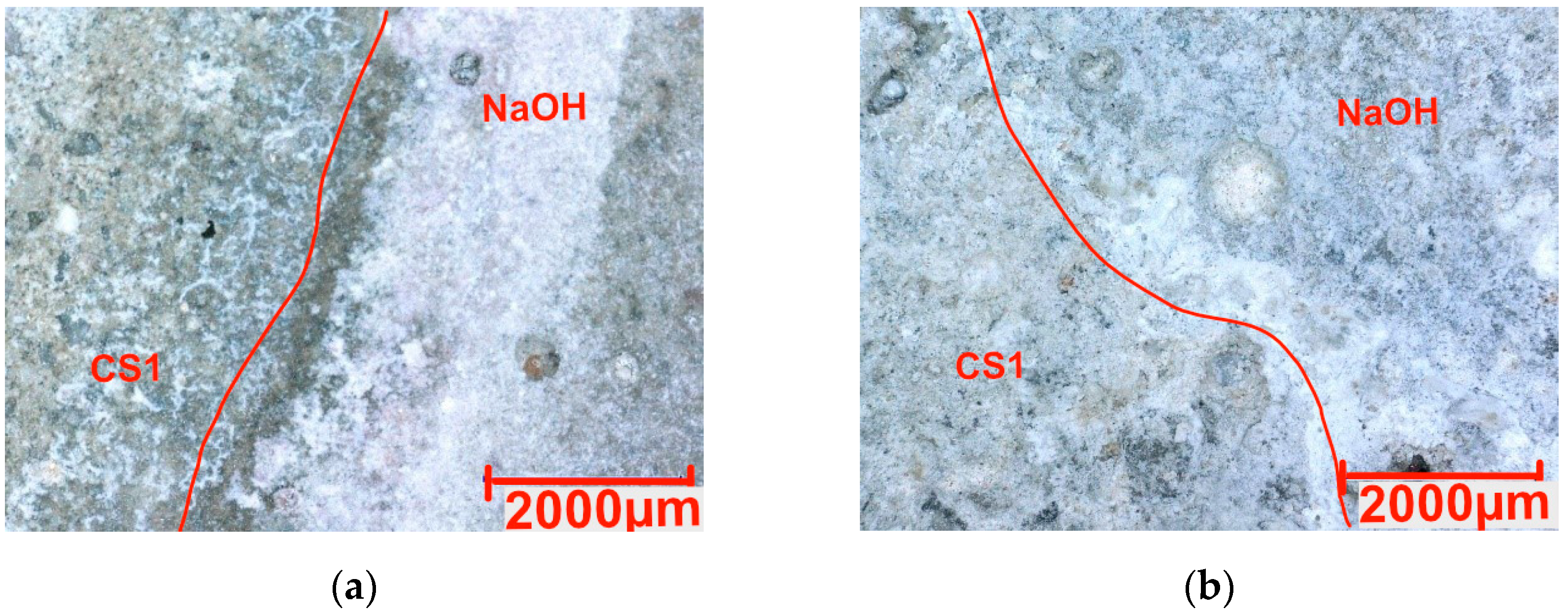 Coatings 15 00175 g007a