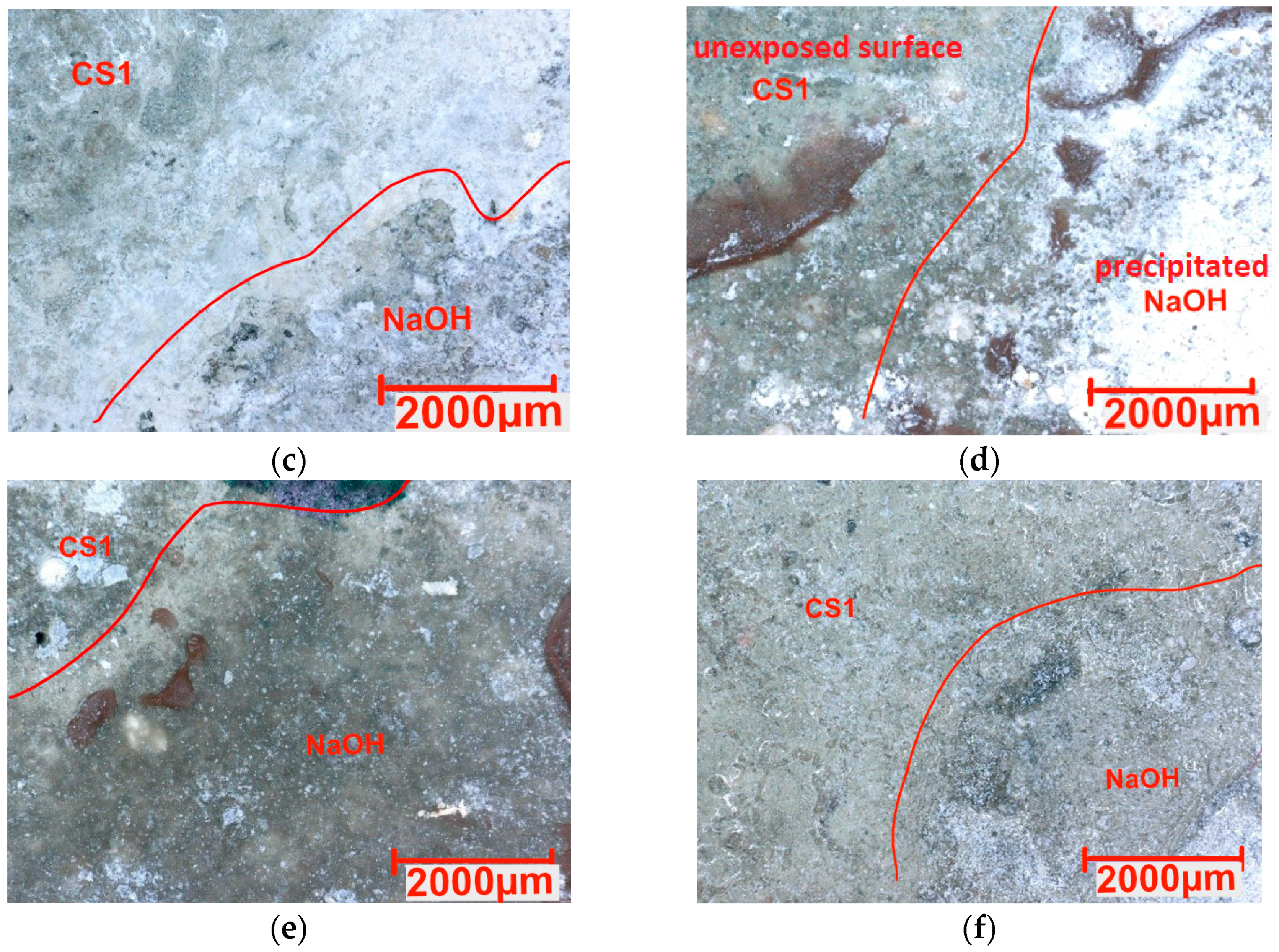 Coatings 15 00175 g007b