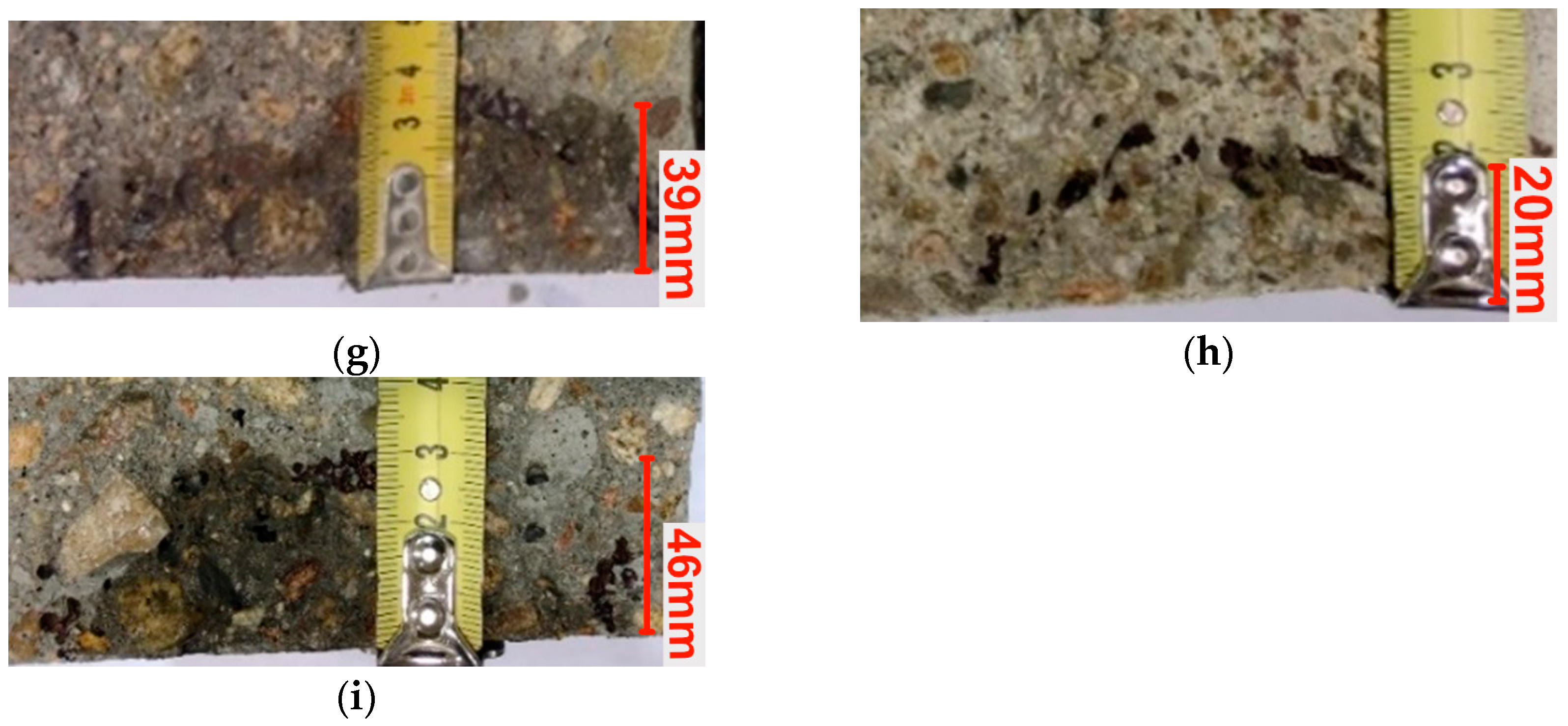 Coatings 15 00175 g012b