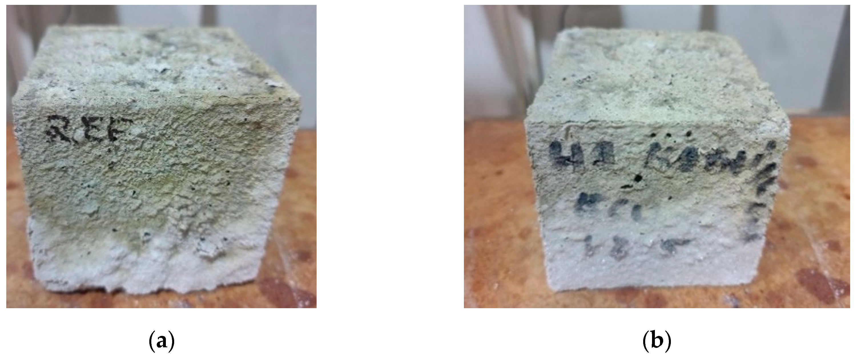 Coatings 15 00175 g017a