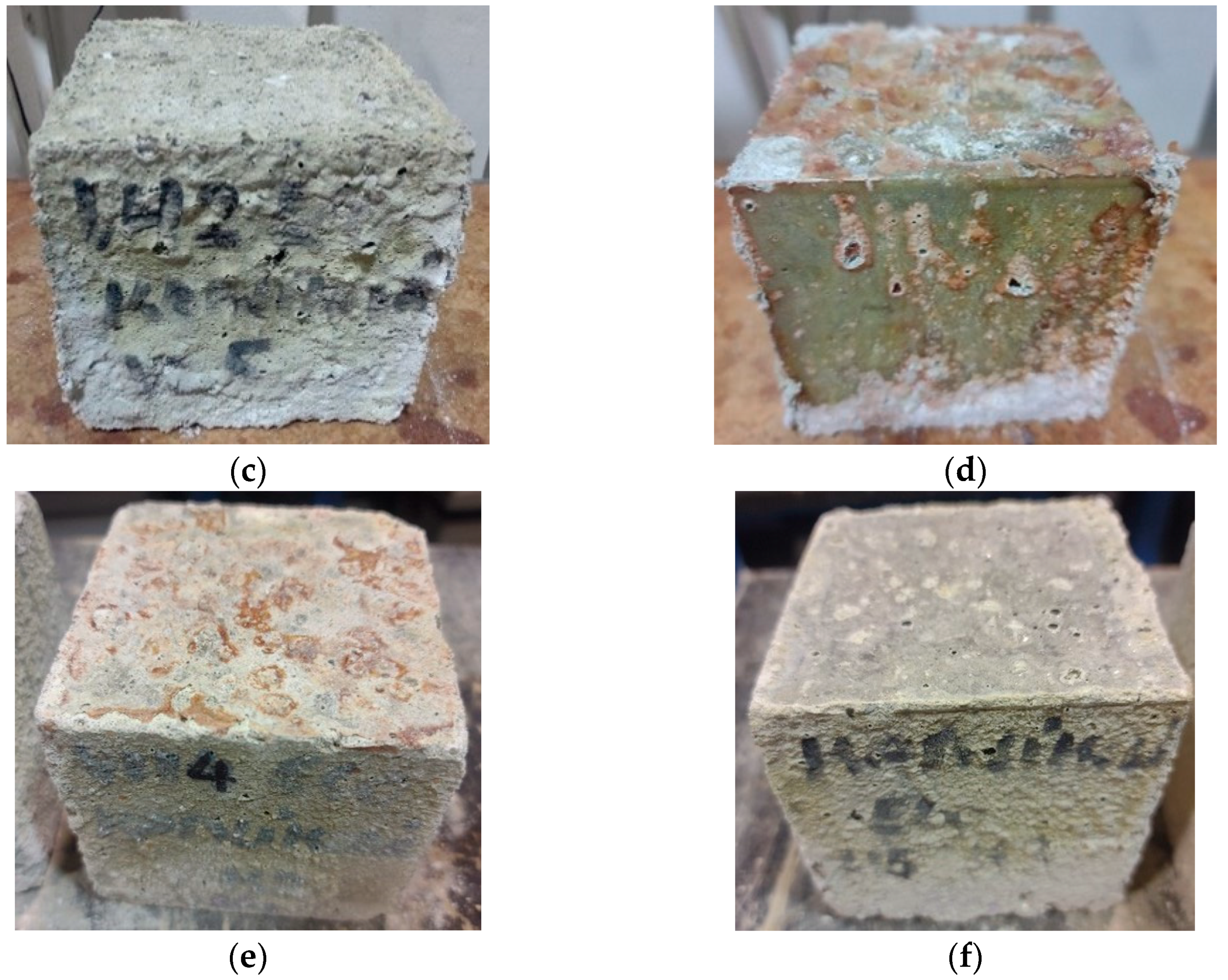 Coatings 15 00175 g017b