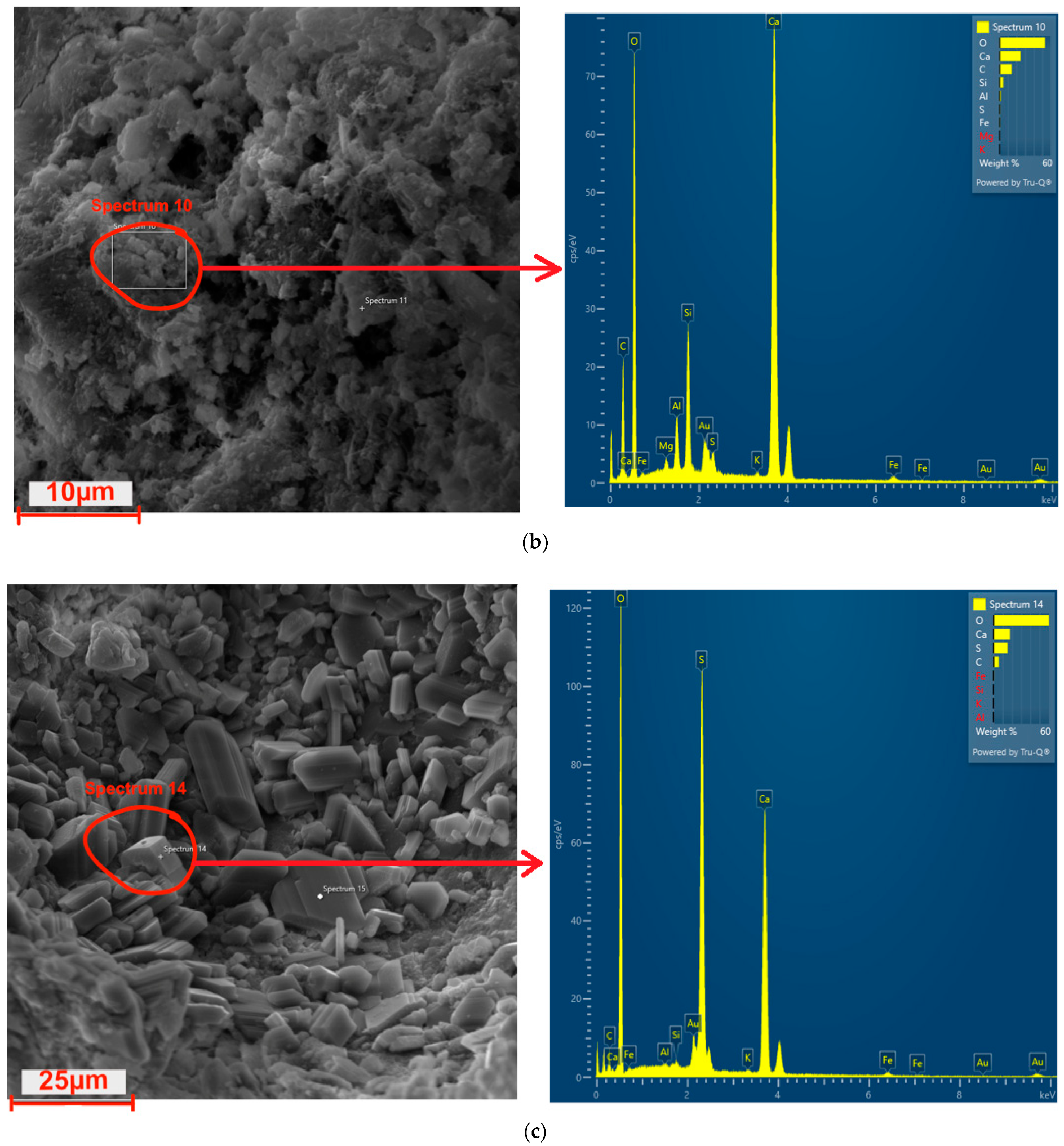 Coatings 15 00175 g018b