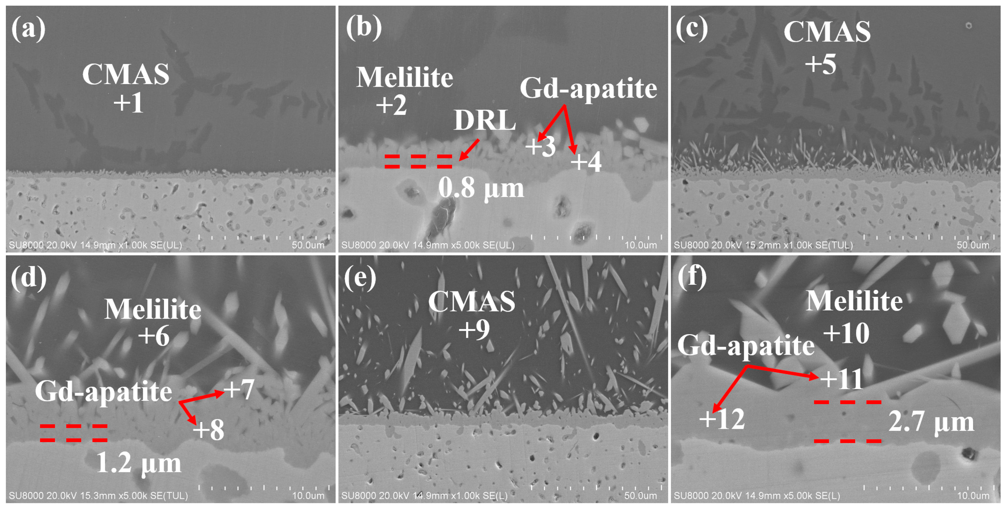 Coatings 15 00177 g002