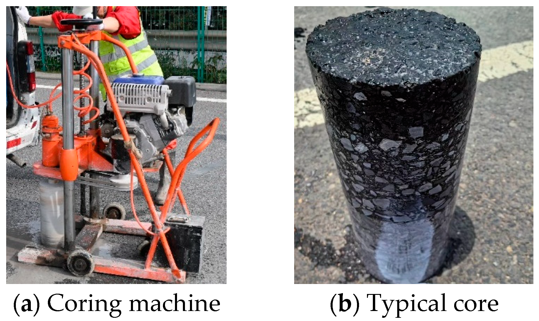 Coatings 15 00178 g001