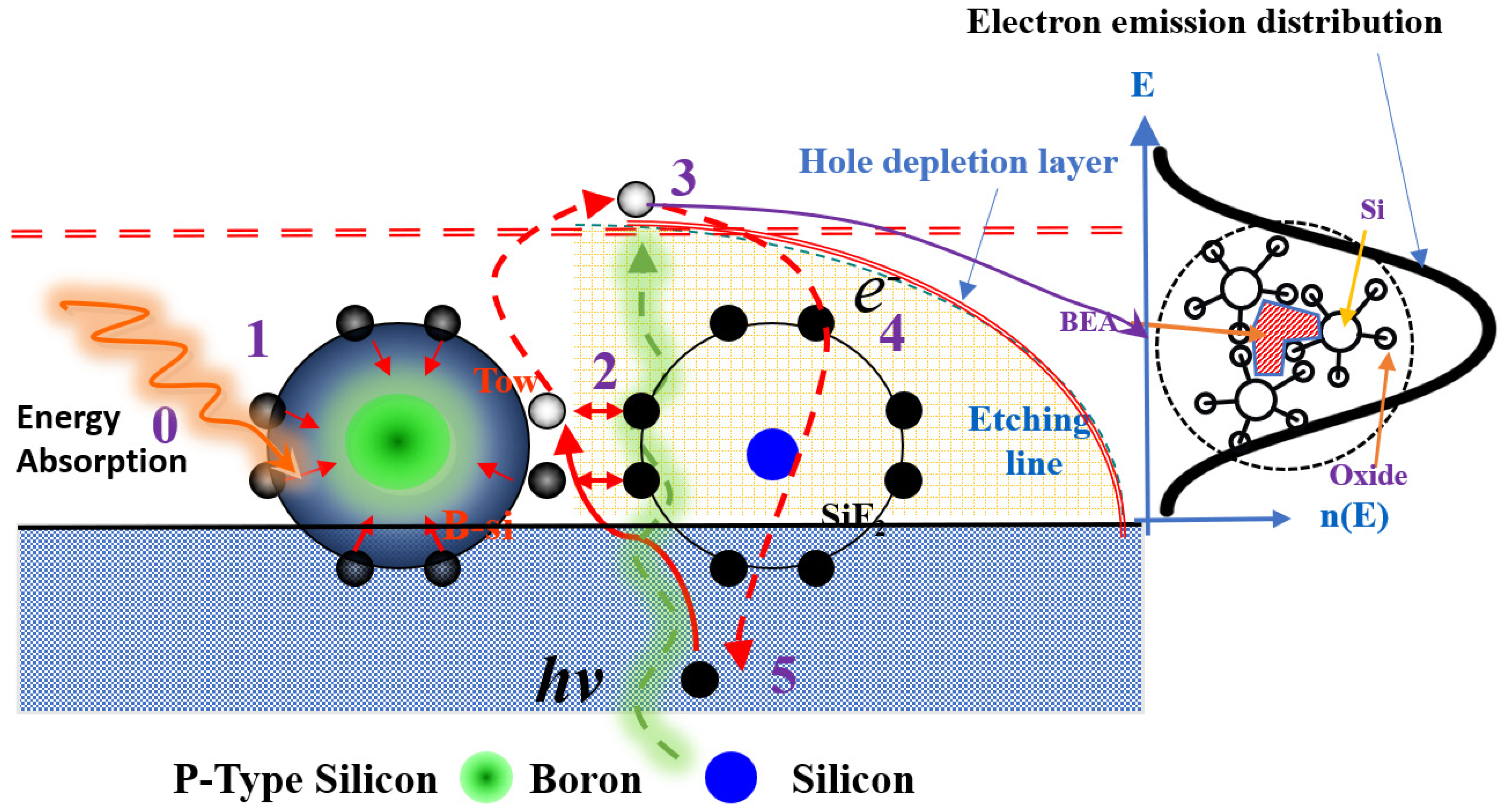 Coatings 15 00179 g002