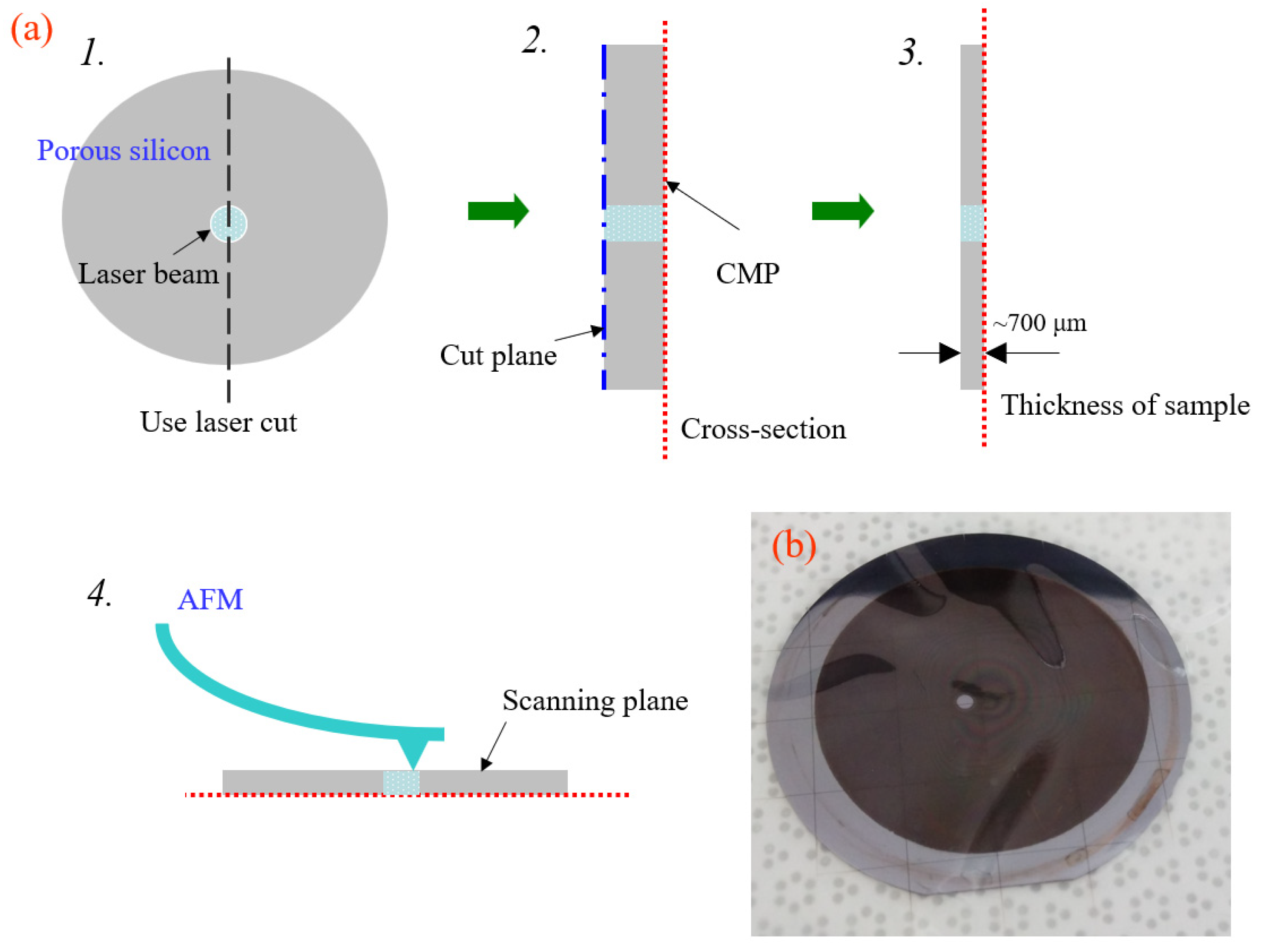 Coatings 15 00179 g003
