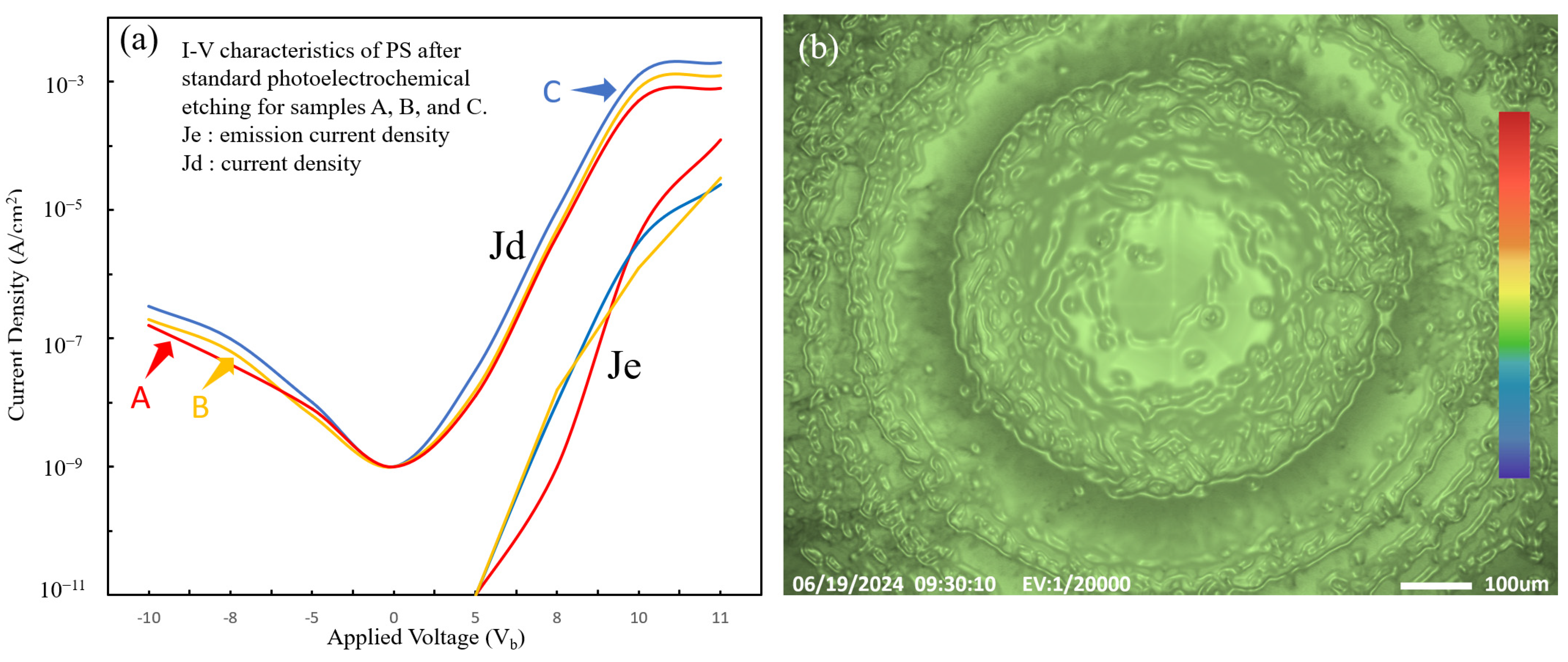 Coatings 15 00179 g011