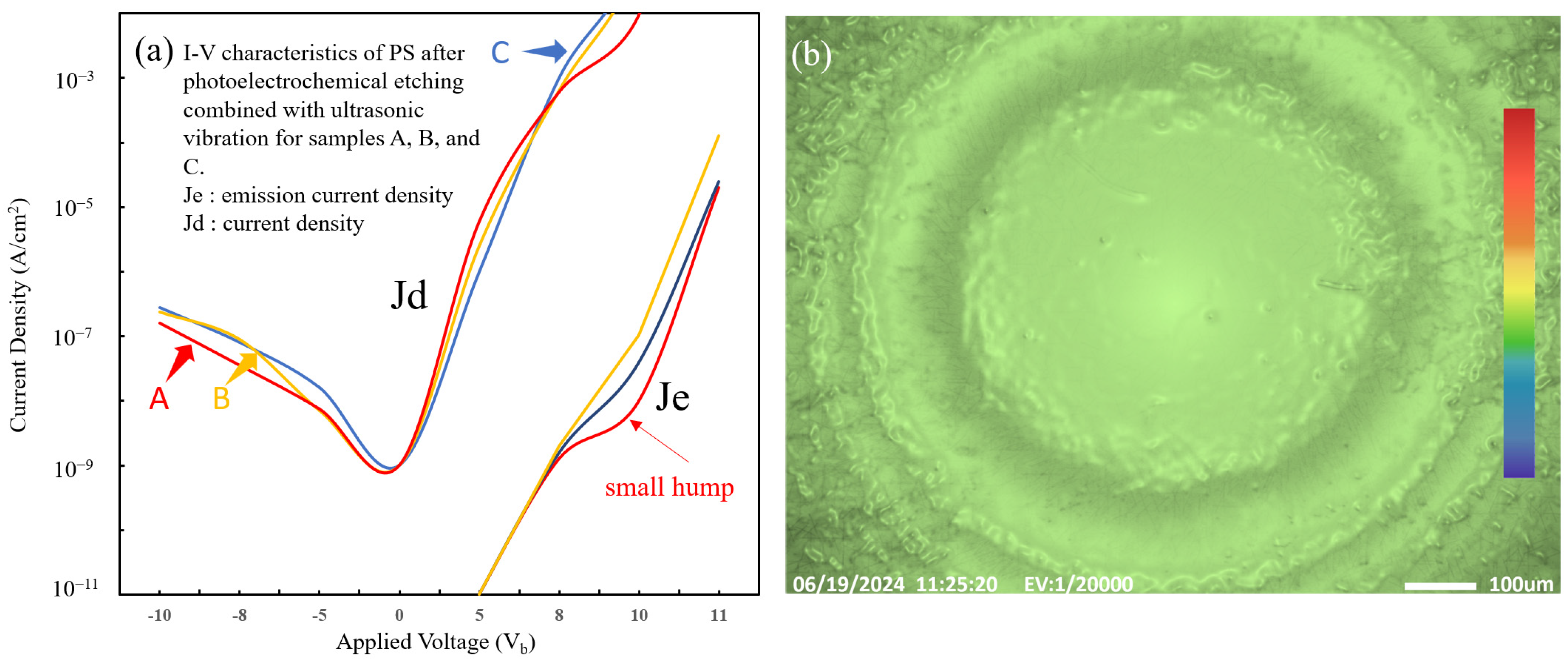 Coatings 15 00179 g012