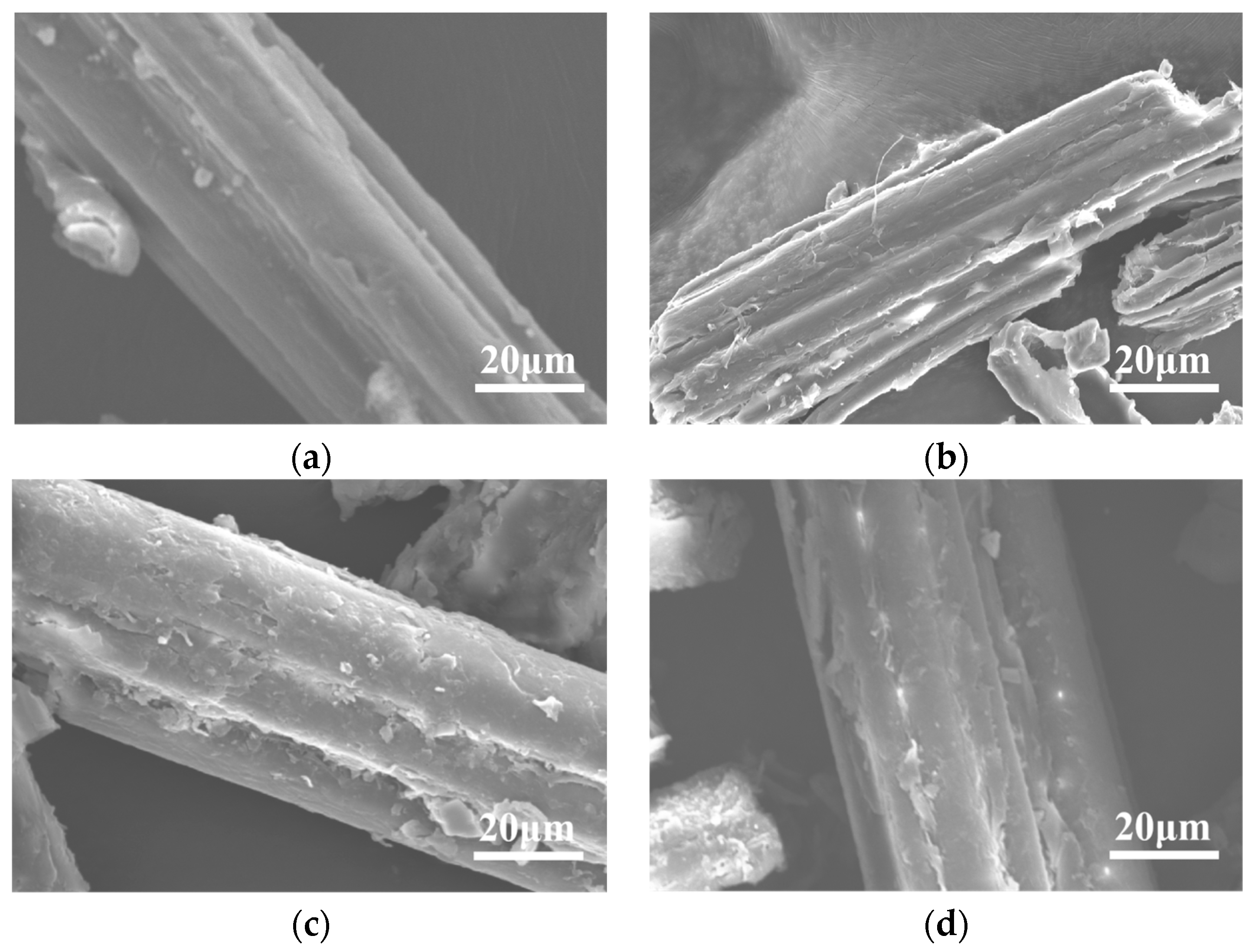 Coatings 15 00181 g003