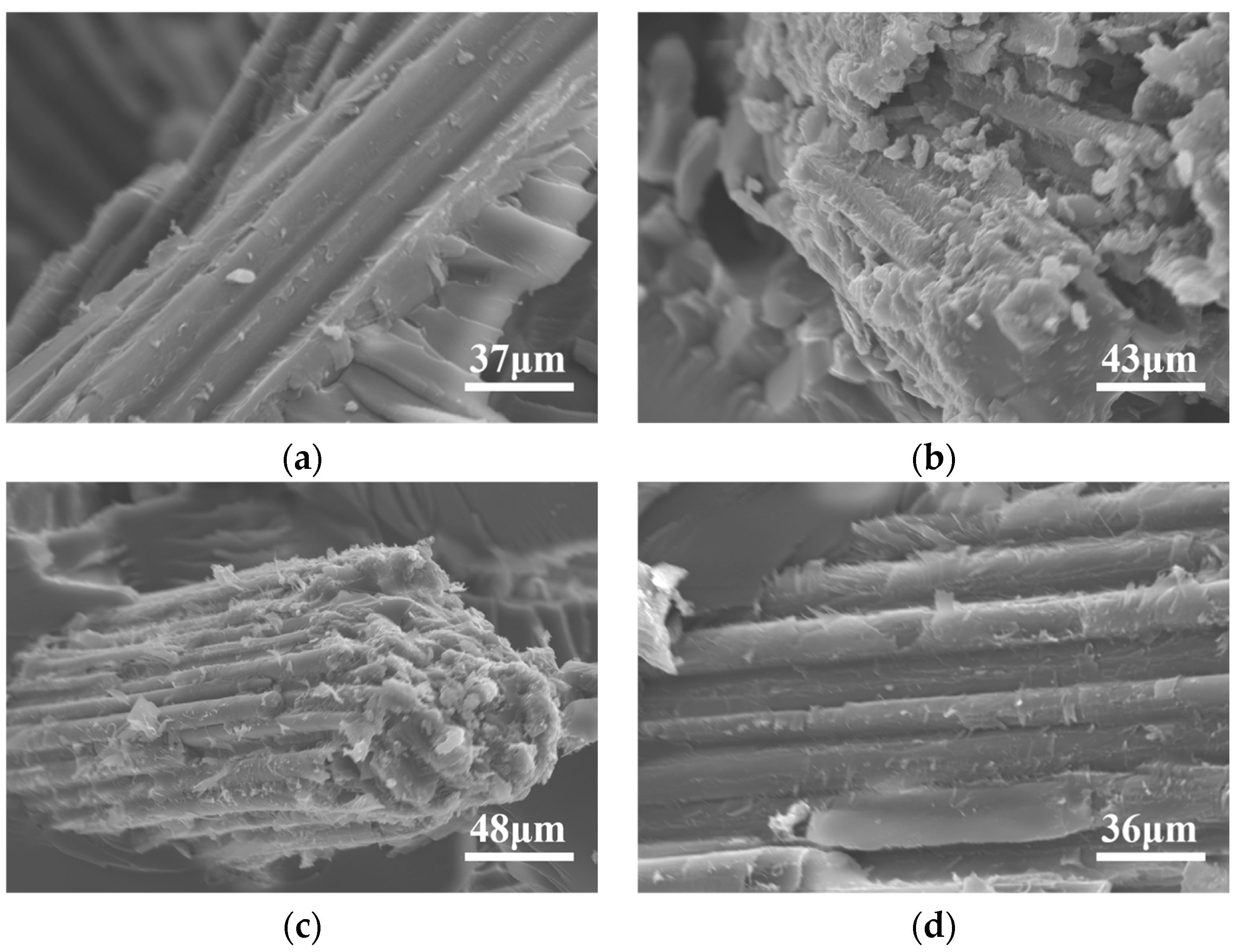 Coatings 15 00181 g004