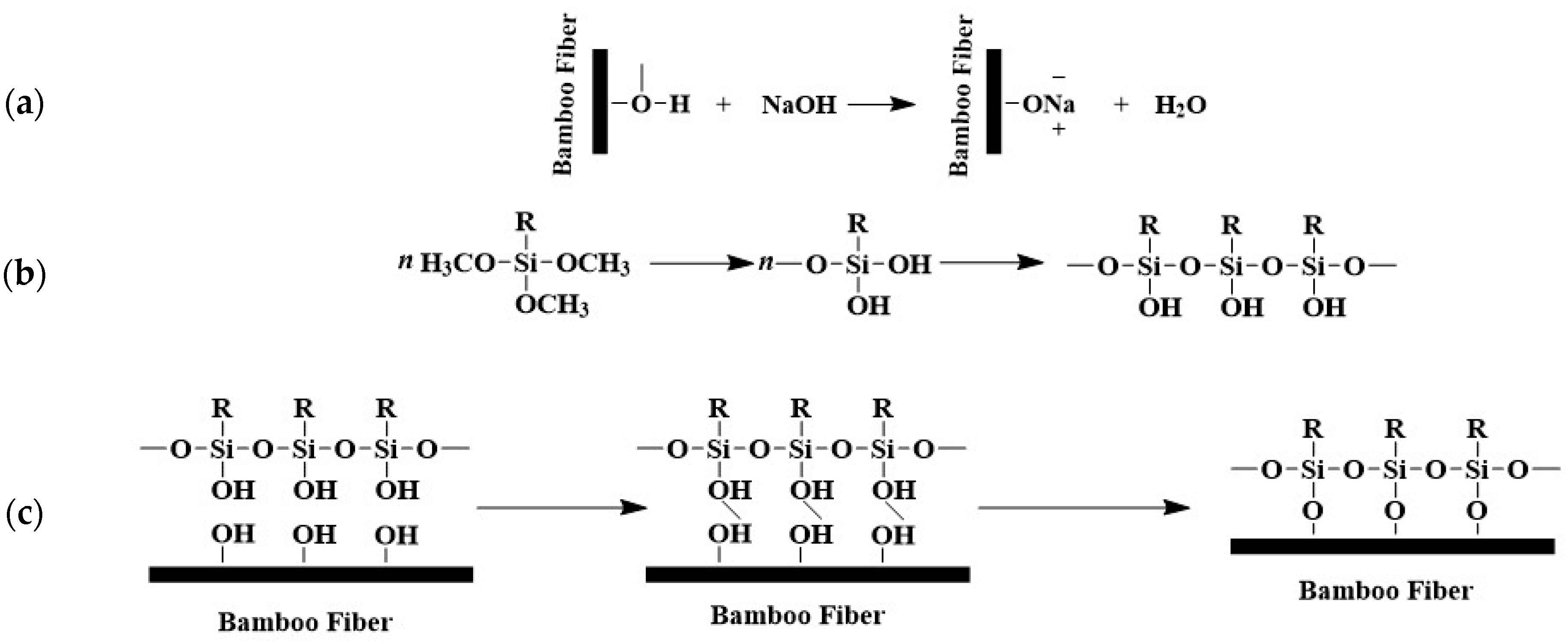 Coatings 15 00181 g006