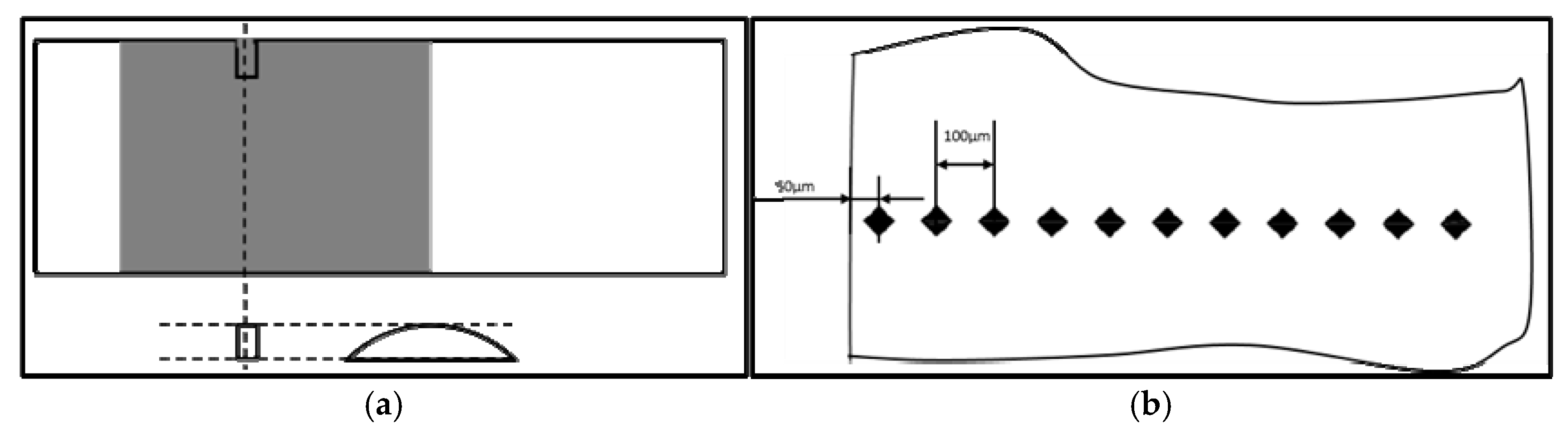 Coatings 15 00183 g001