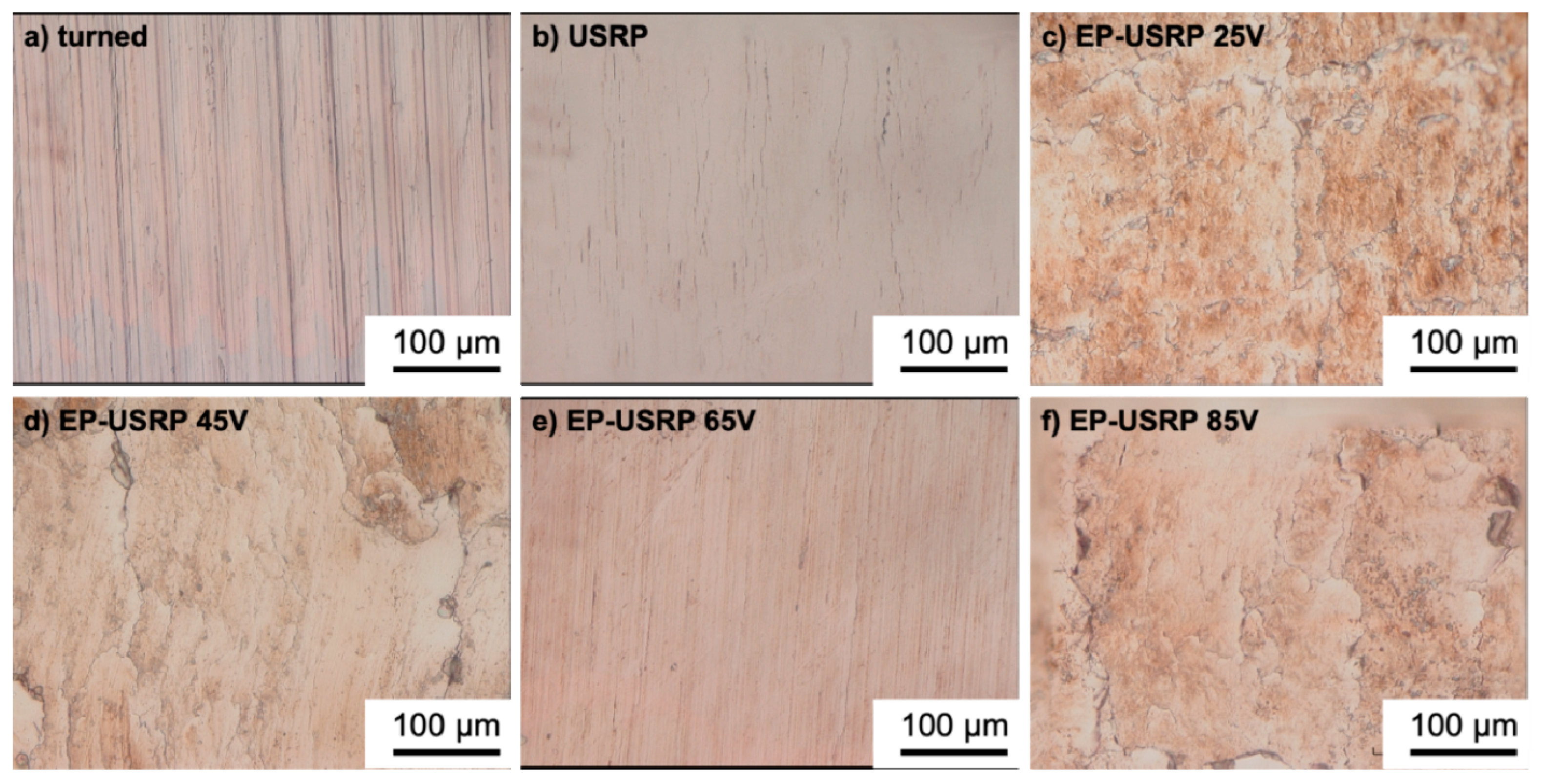 Coatings 15 00183 g005