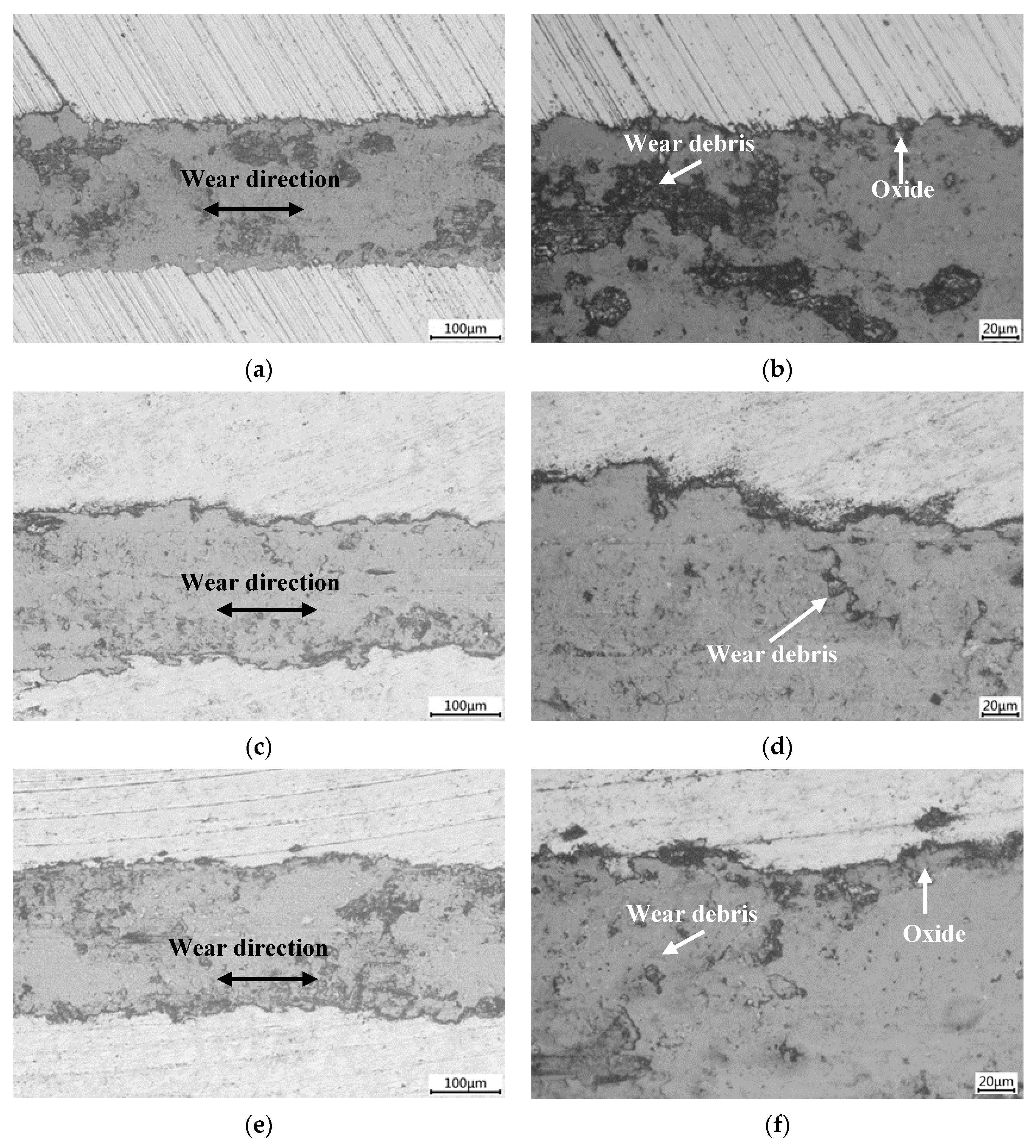 Coatings 15 00183 g012