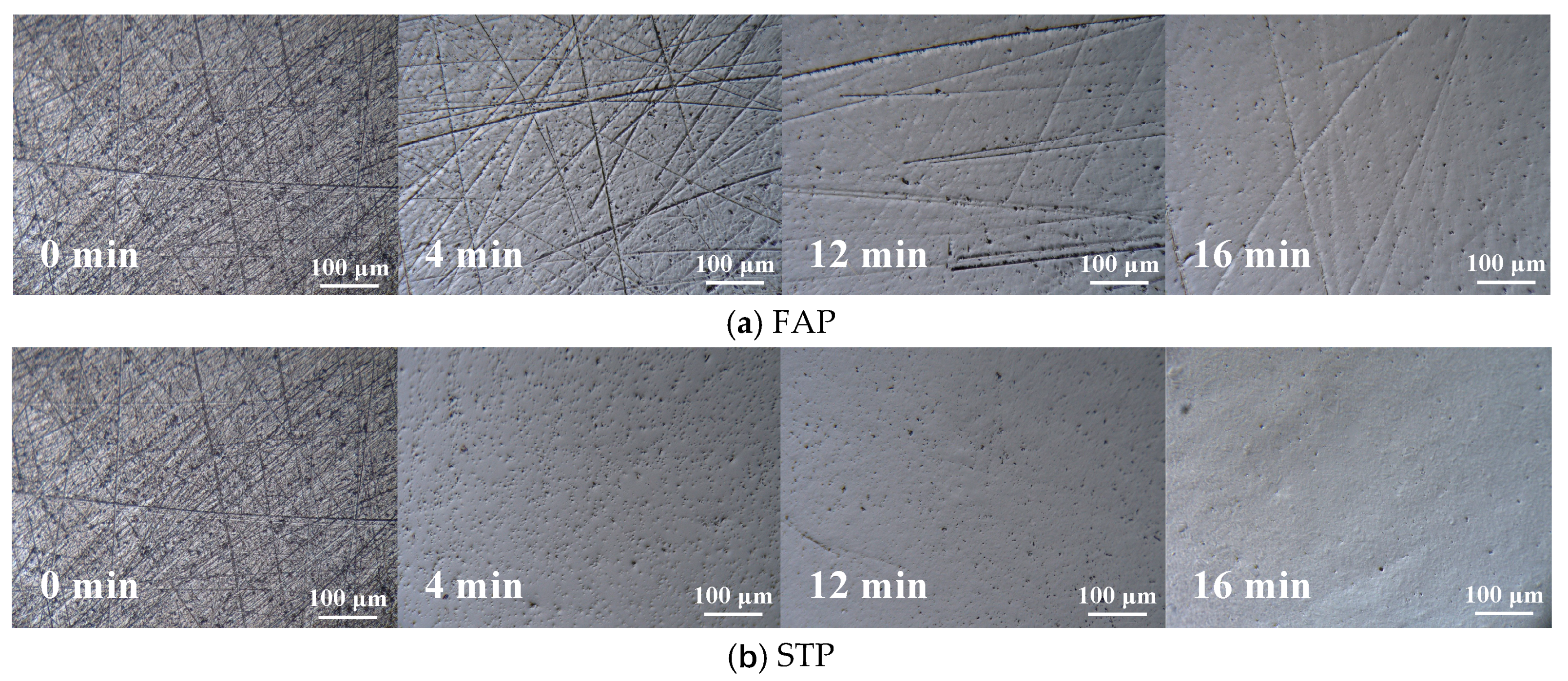 Coatings 15 00184 g005