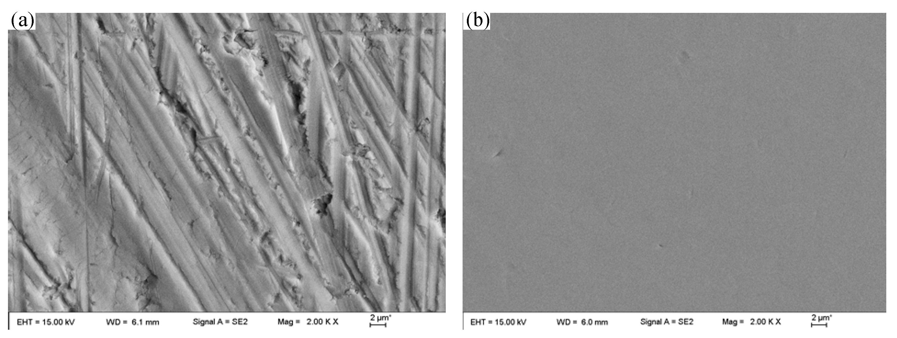 Coatings 15 00184 g011