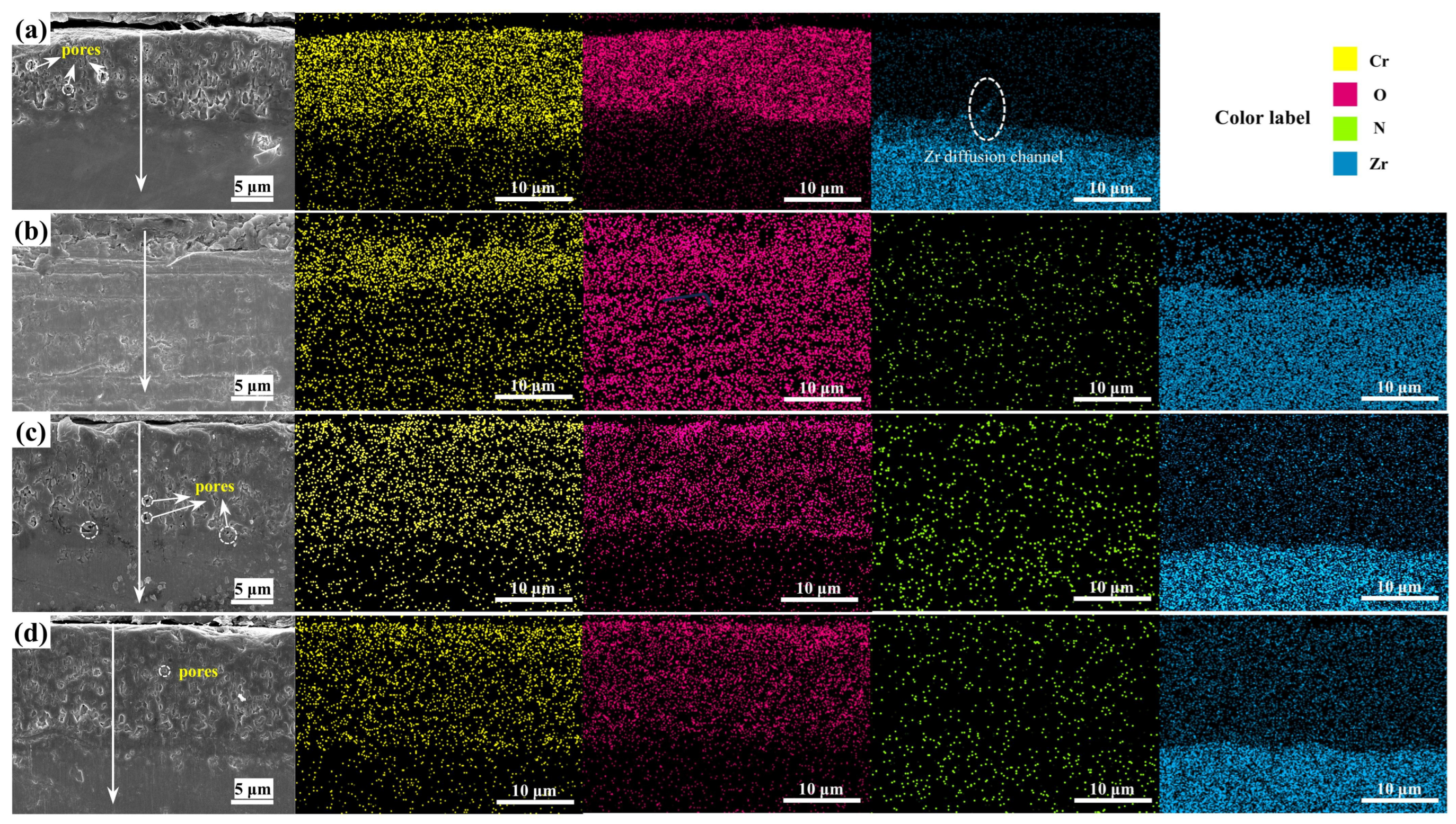 Coatings 15 00185 g007