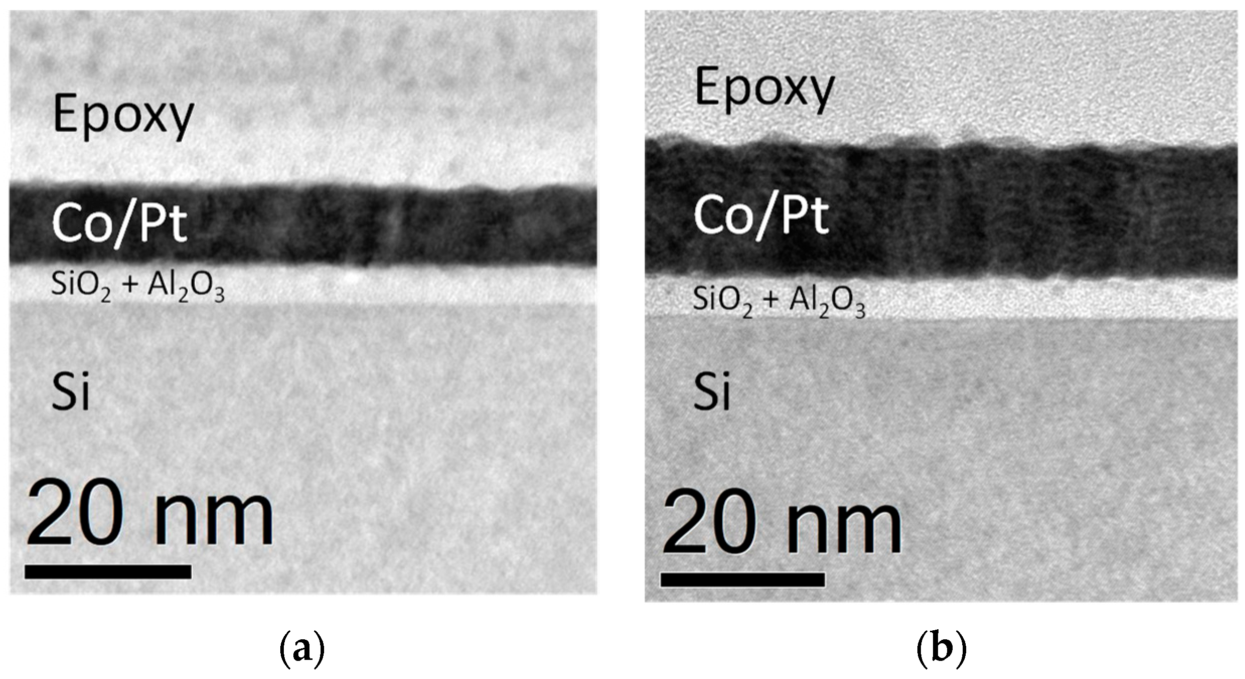 Coatings 15 00186 g001