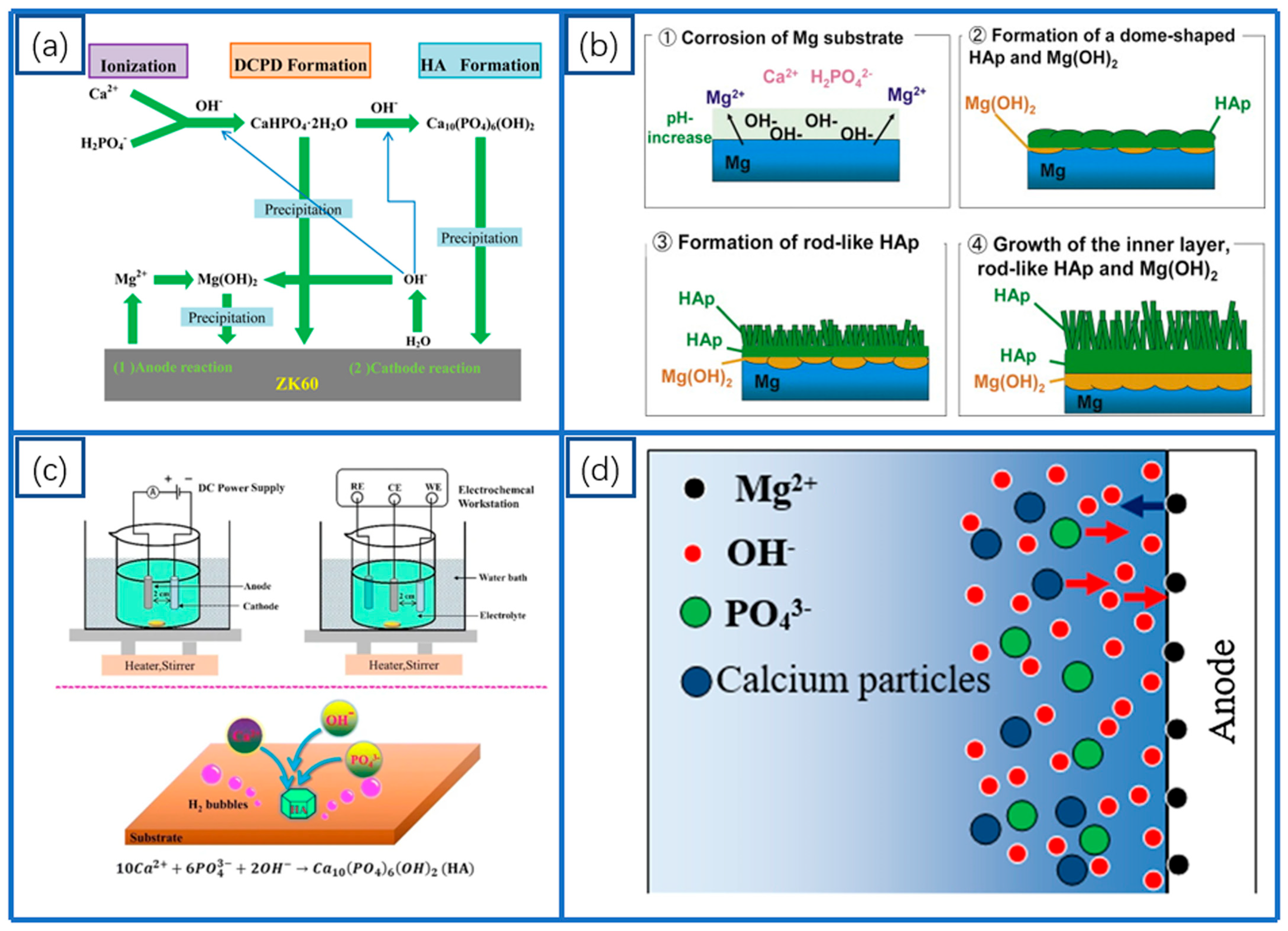 Coatings 15 00191 g001