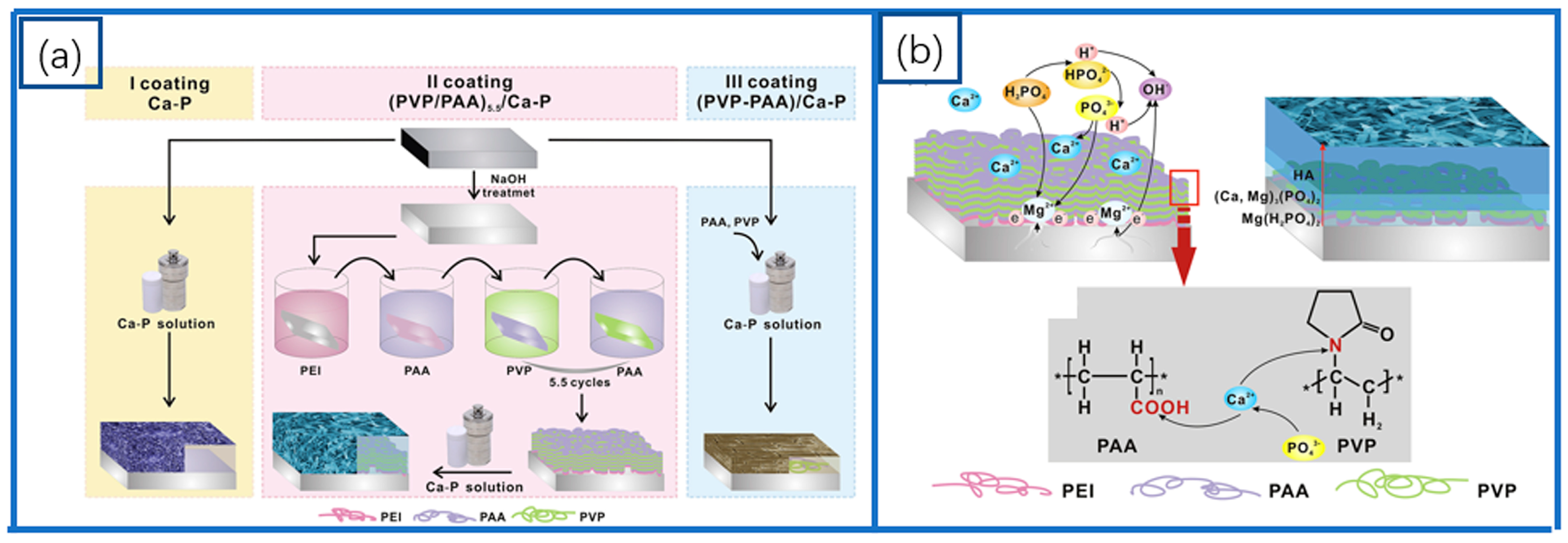 Coatings 15 00191 g007