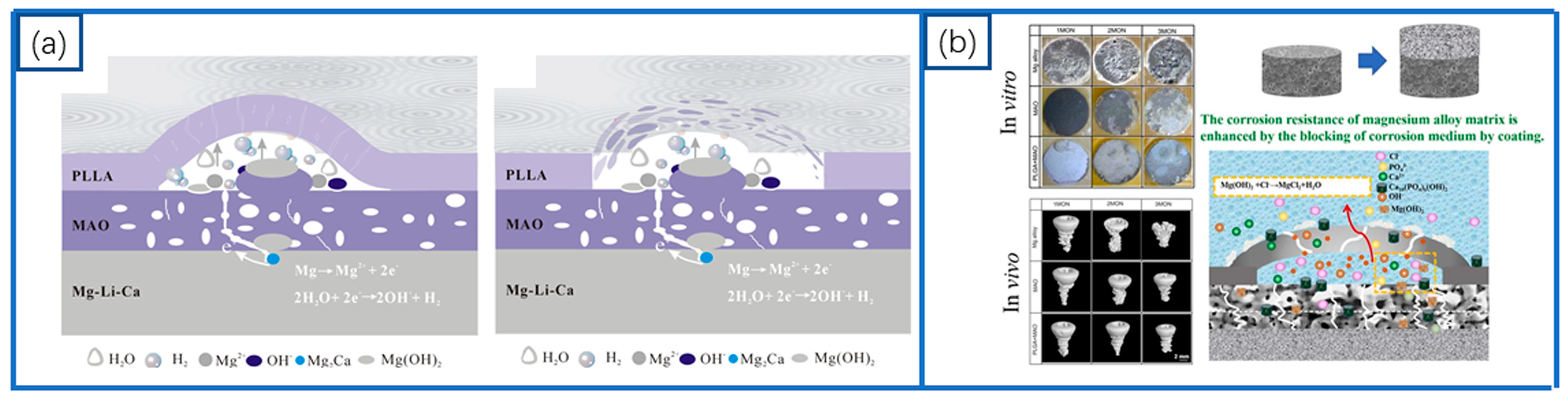 Coatings 15 00191 g010