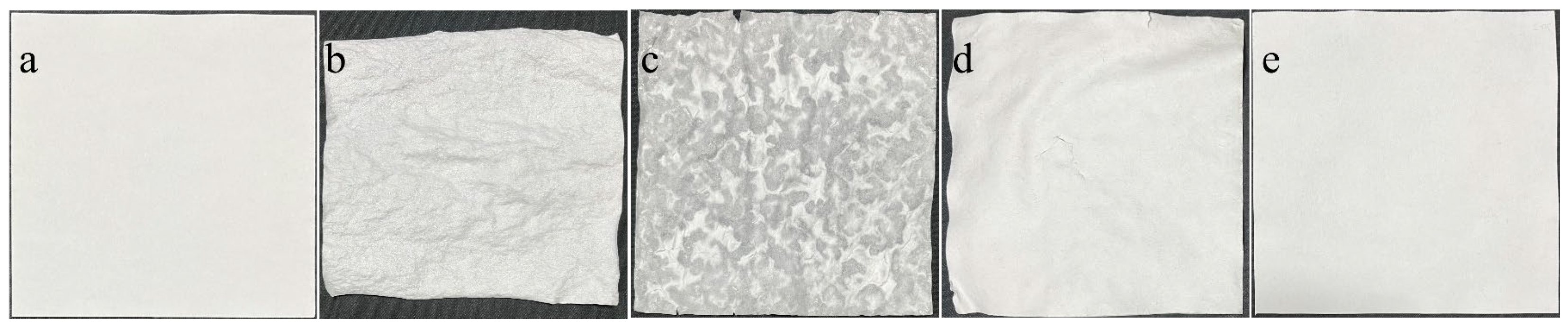 Coatings 15 00192 g005