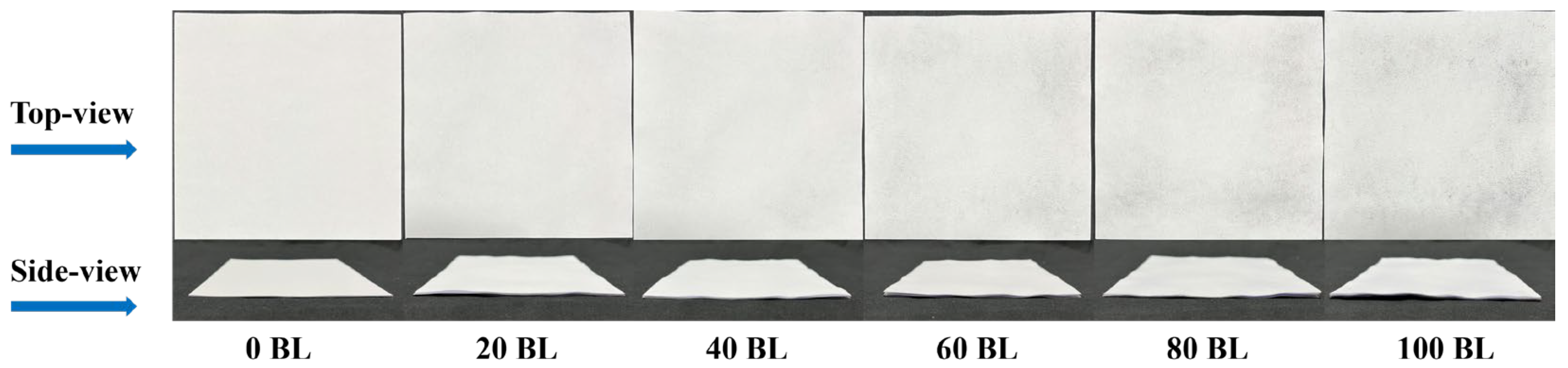 Coatings 15 00192 g006
