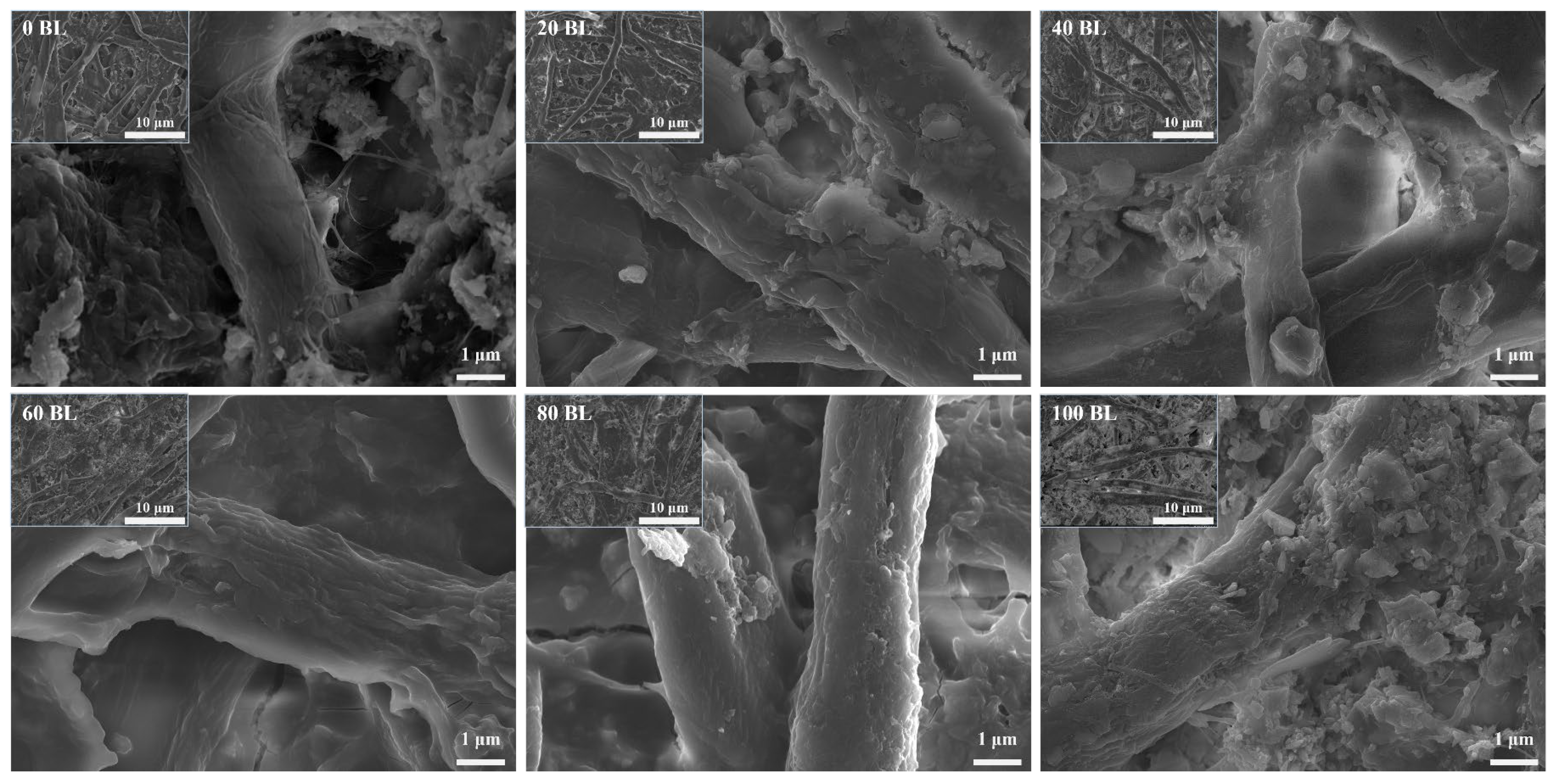 Coatings 15 00192 g009