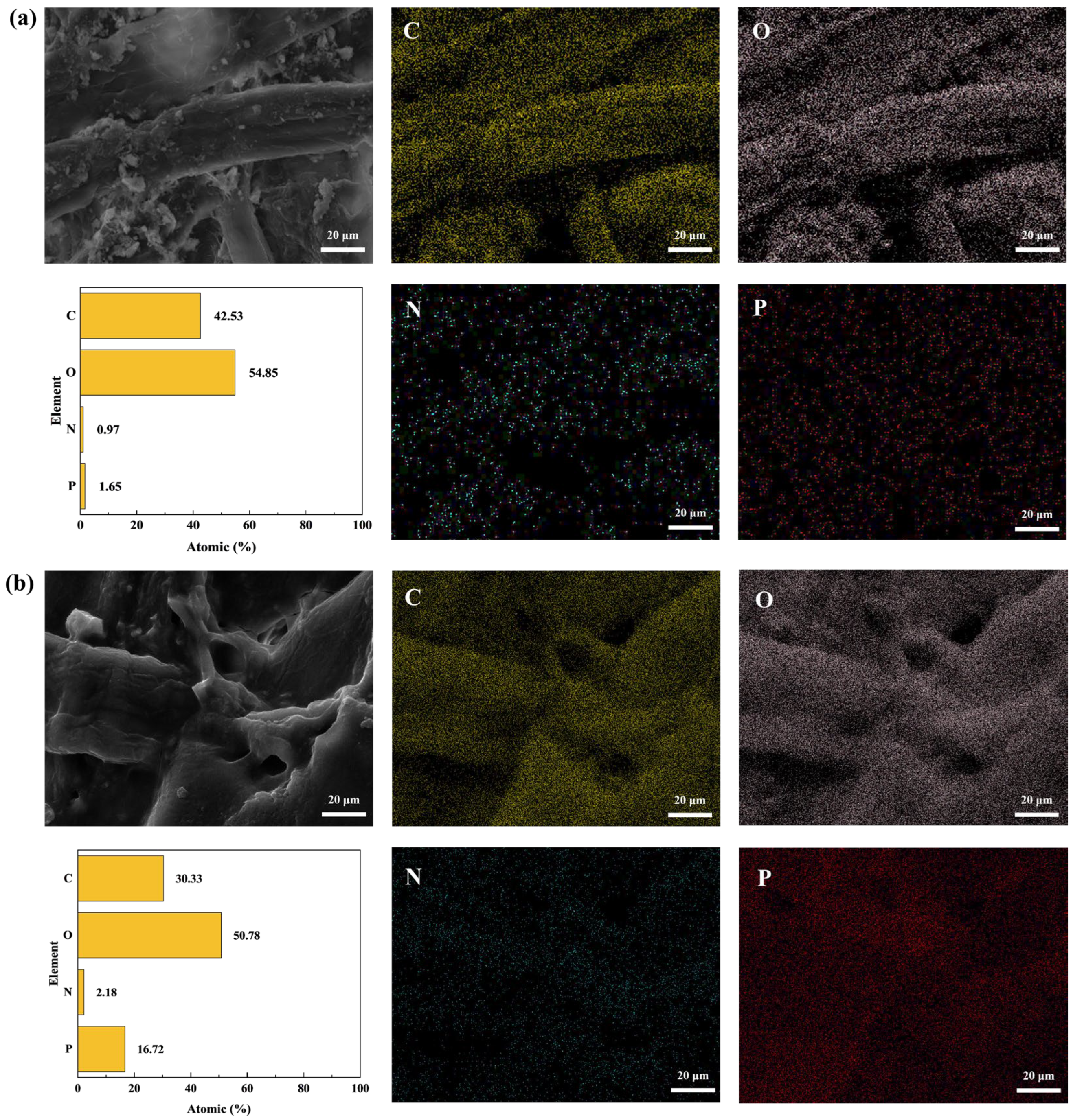 Coatings 15 00192 g010