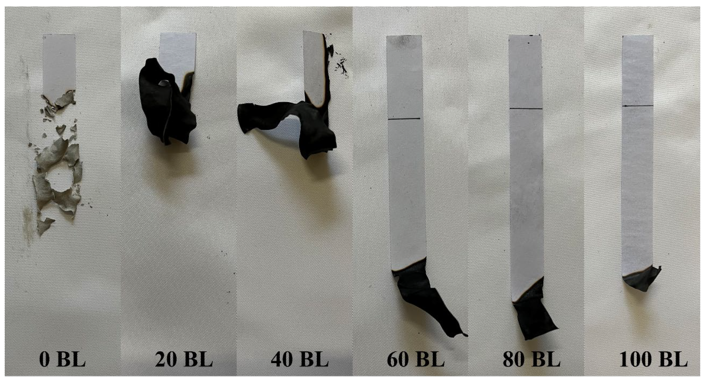 Coatings 15 00192 g012