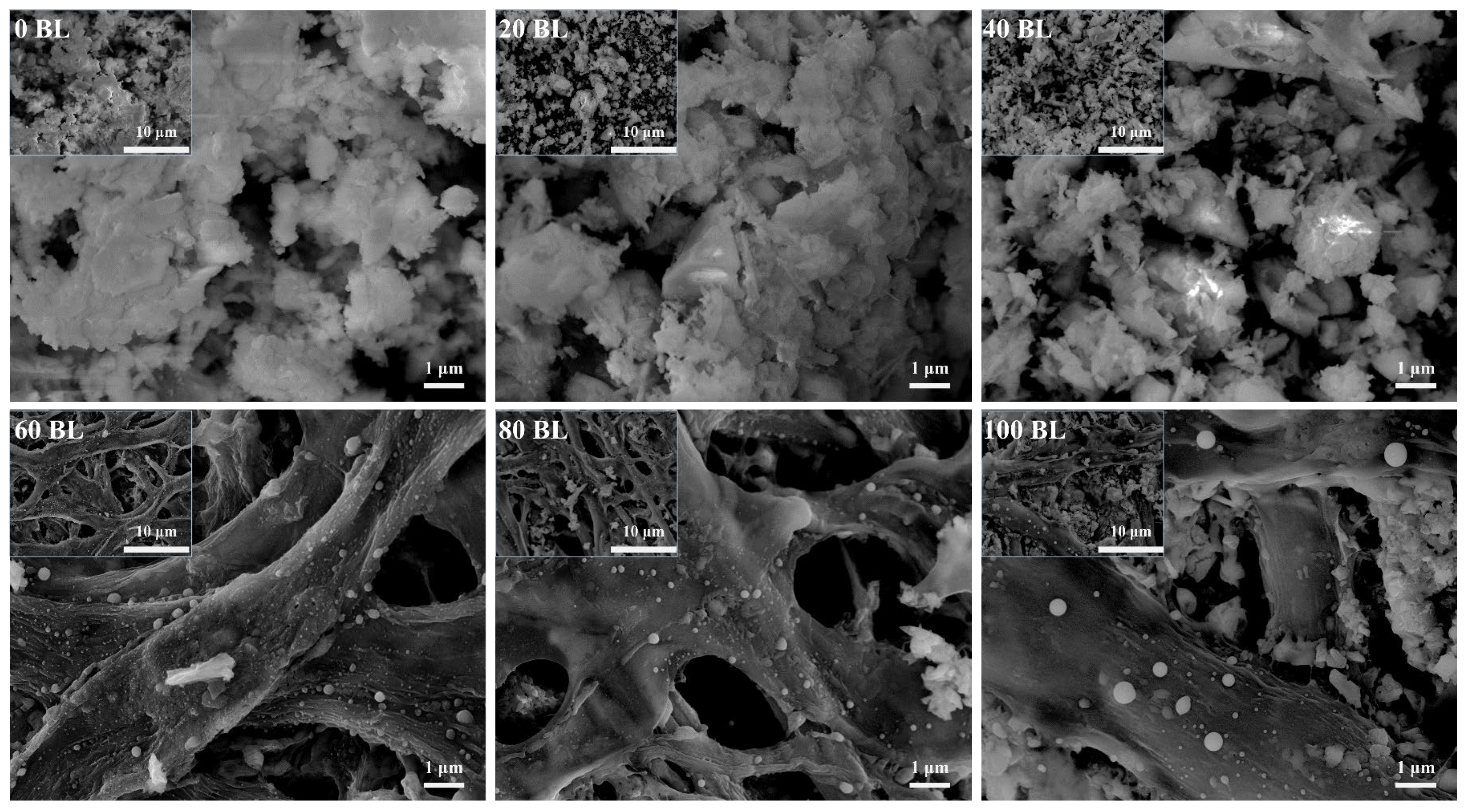 Coatings 15 00192 g018