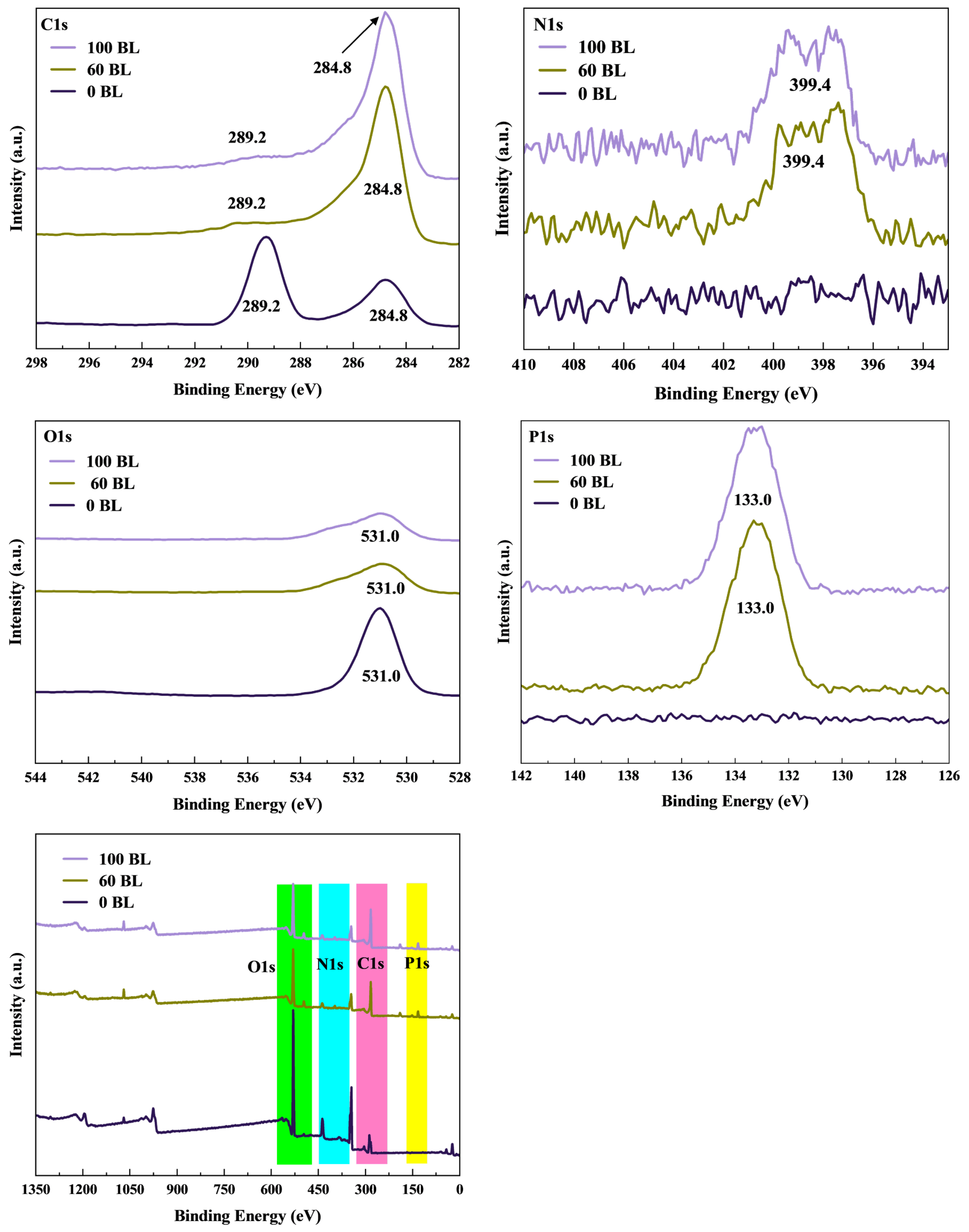 Coatings 15 00192 g020