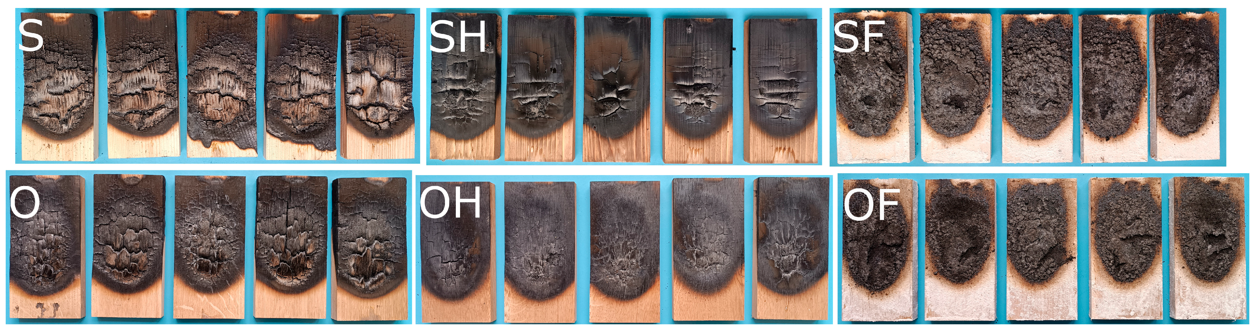 Coatings 15 00193 g008