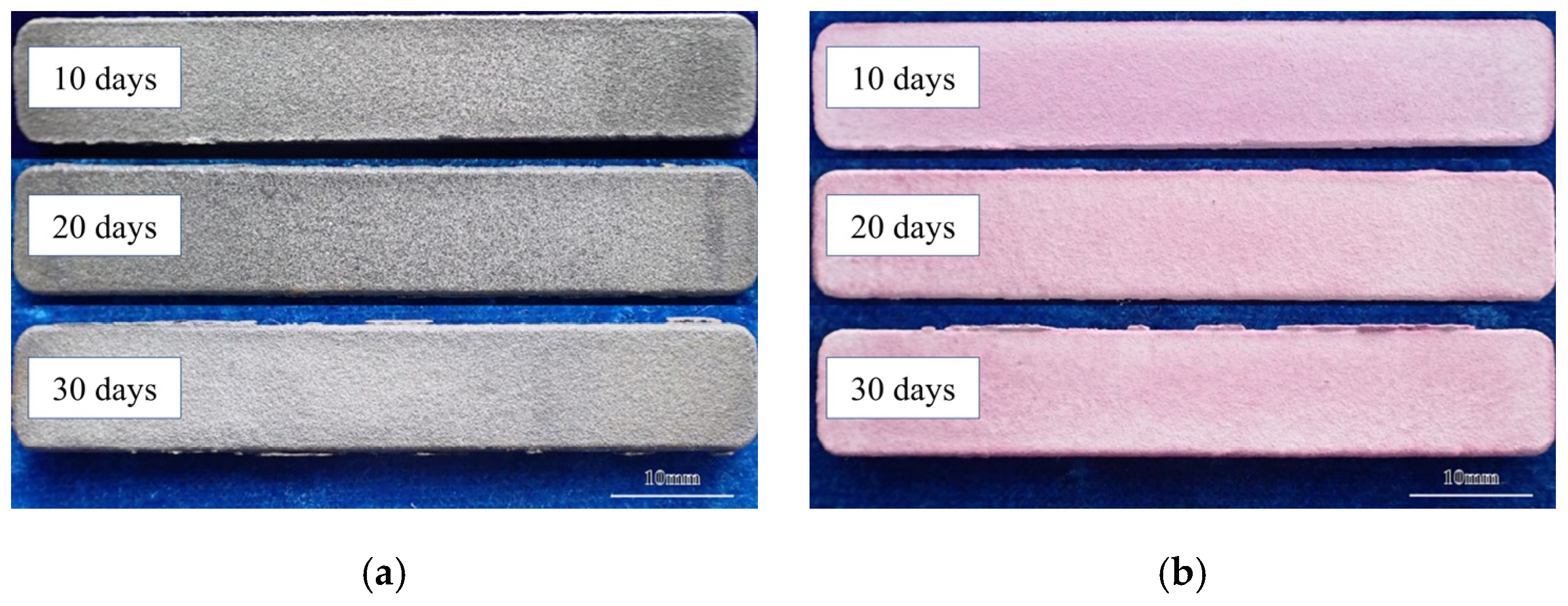 Coatings 15 00194 g009