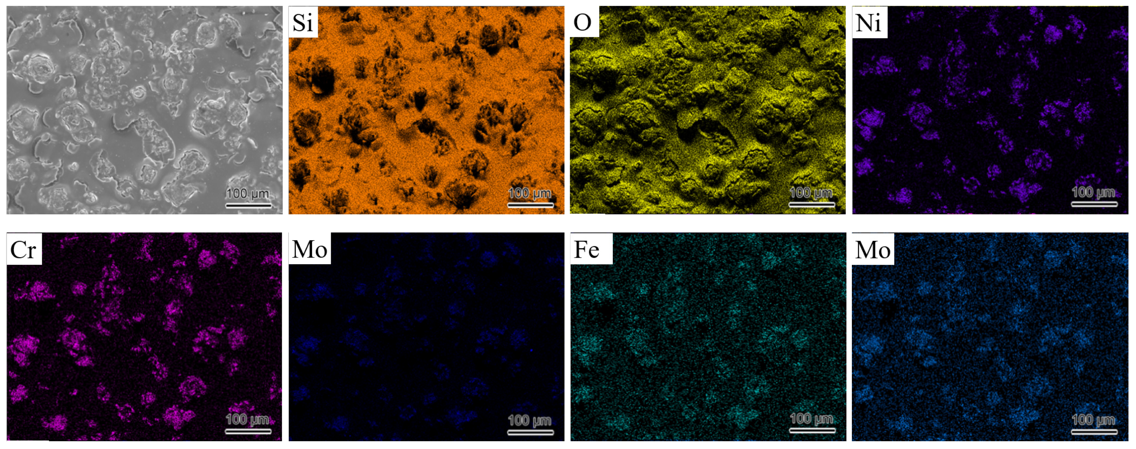 Coatings 15 00194 g010