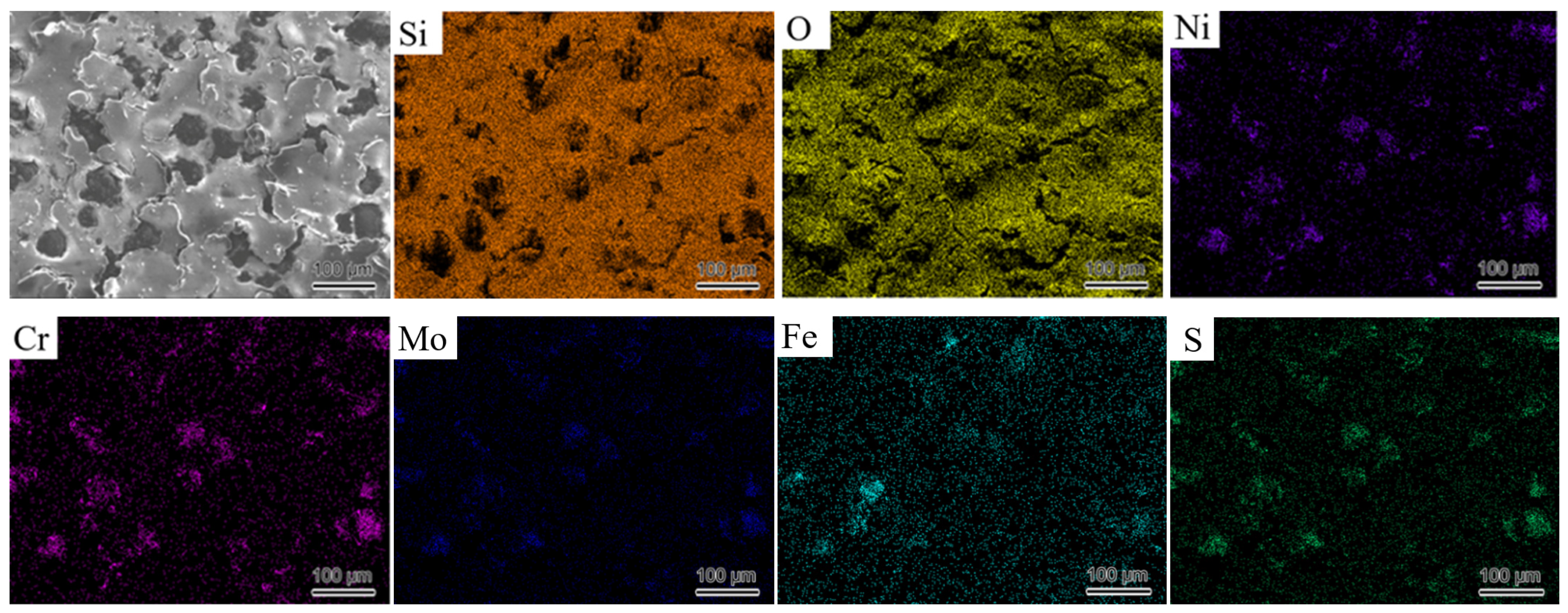 Coatings 15 00194 g013