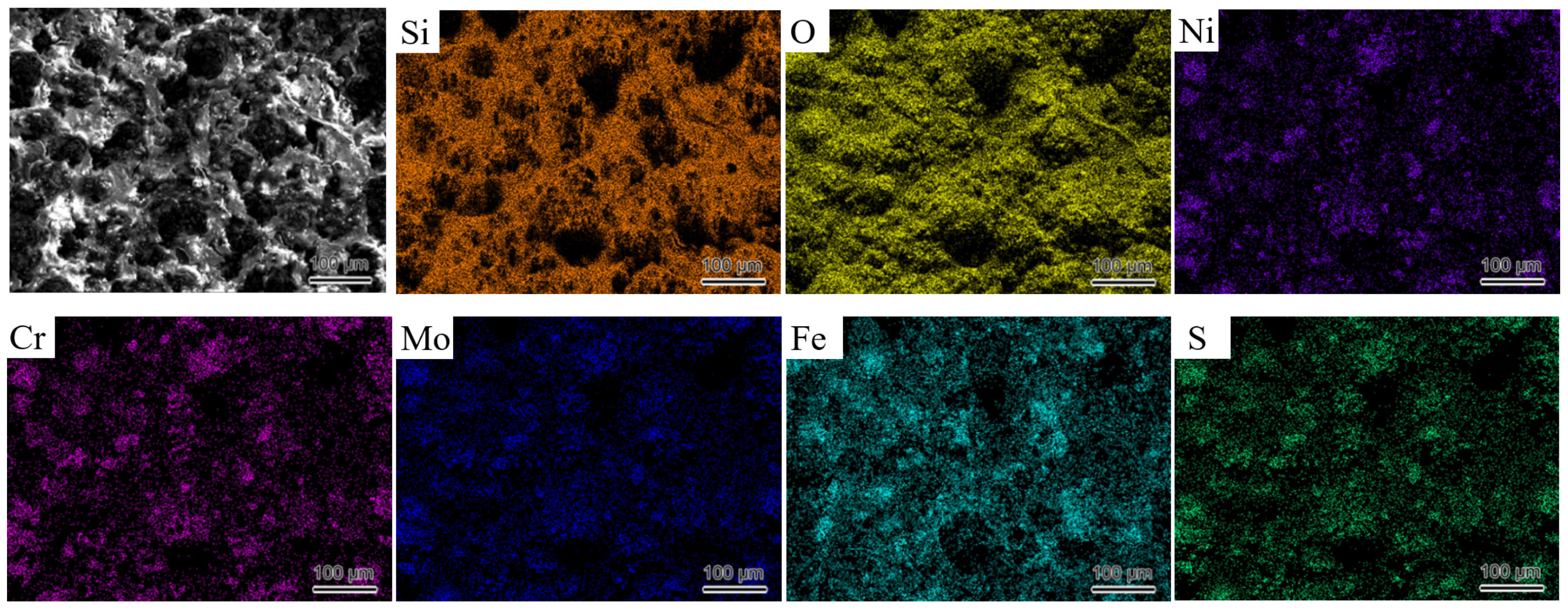 Coatings 15 00194 g015