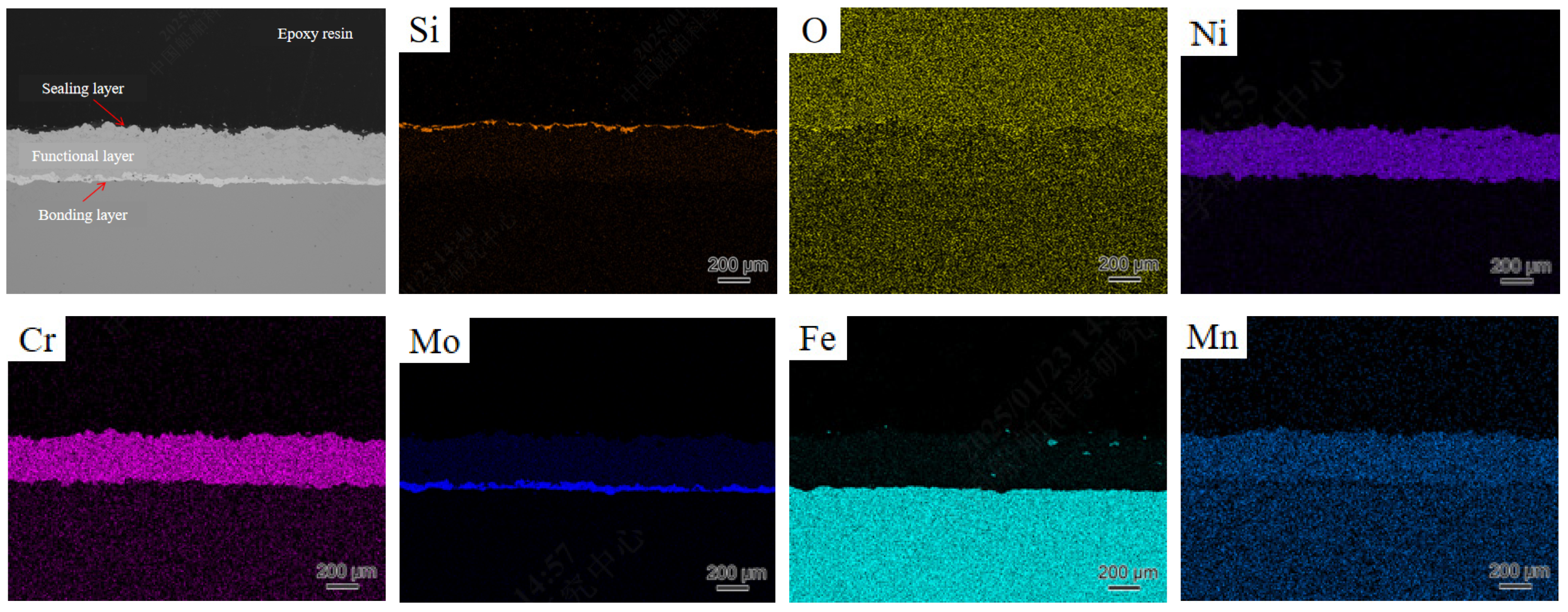 Coatings 15 00194 g016