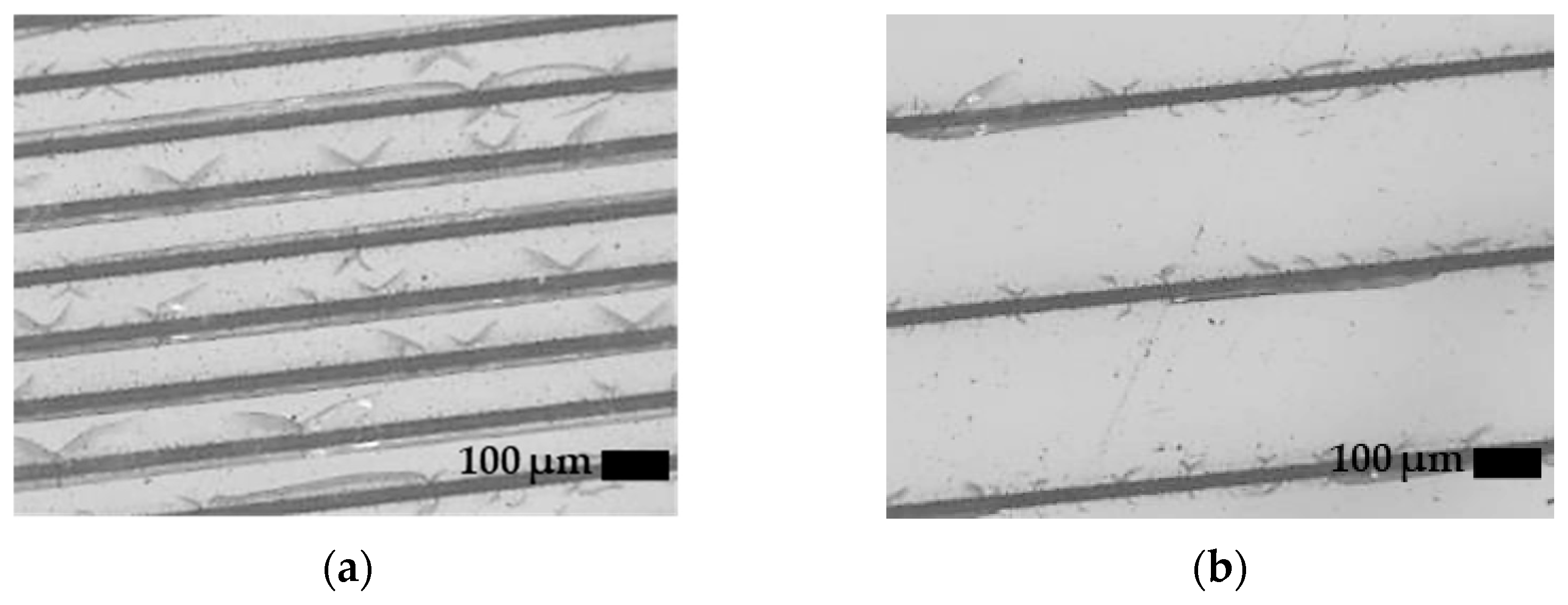 Coatings 15 00195 g006