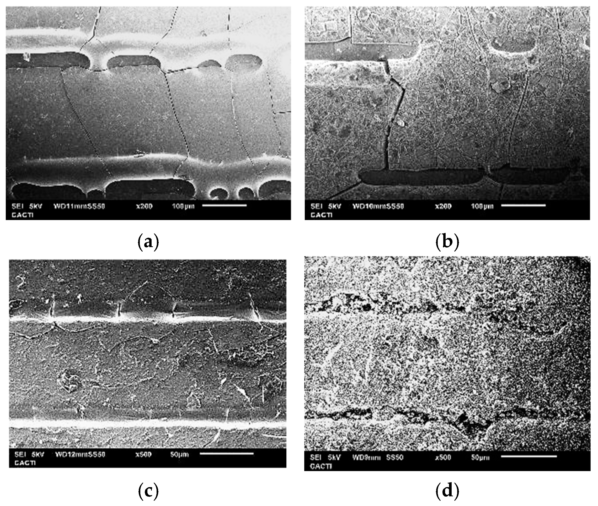 Coatings 15 00195 g009