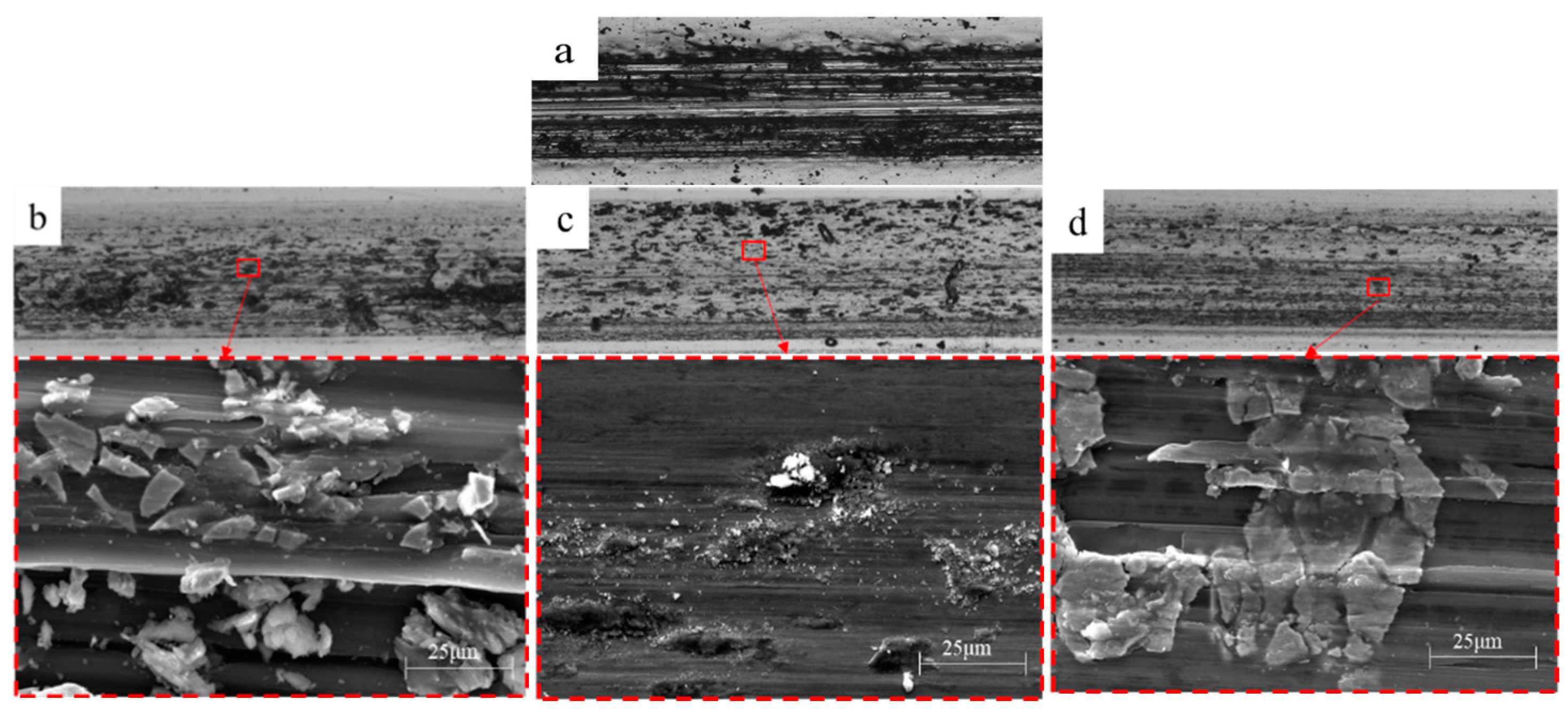 Coatings 15 00197 g006