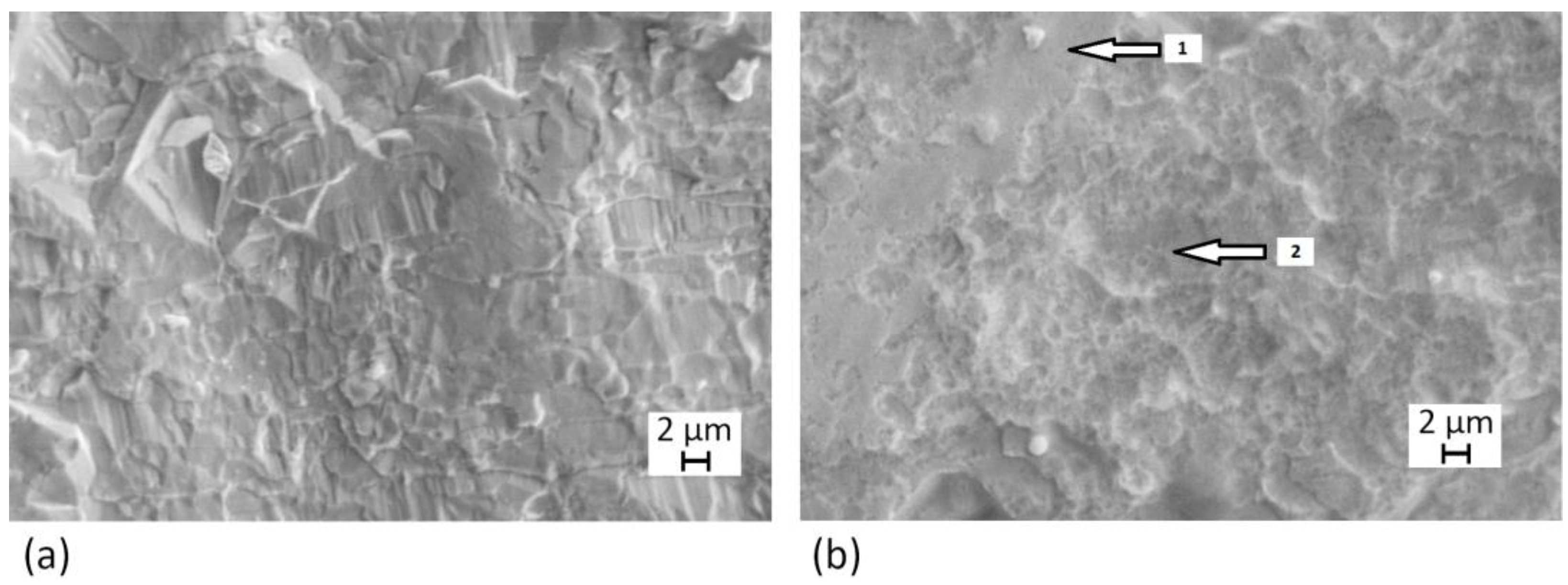 Coatings 15 00198 g008