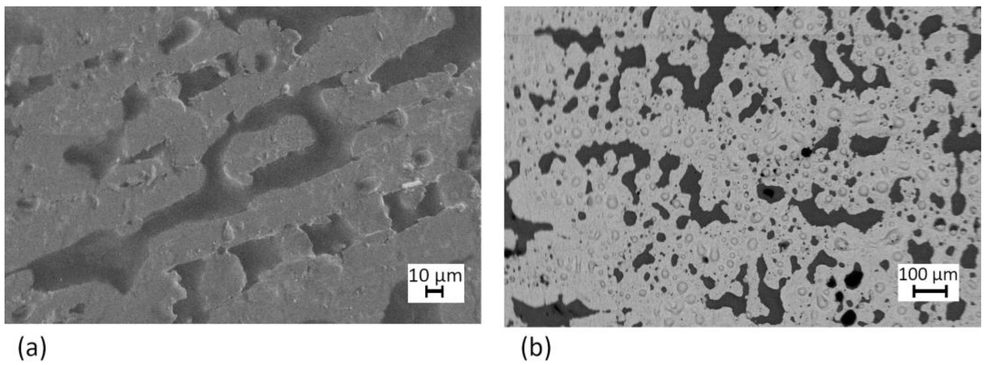 Coatings 15 00198 g010