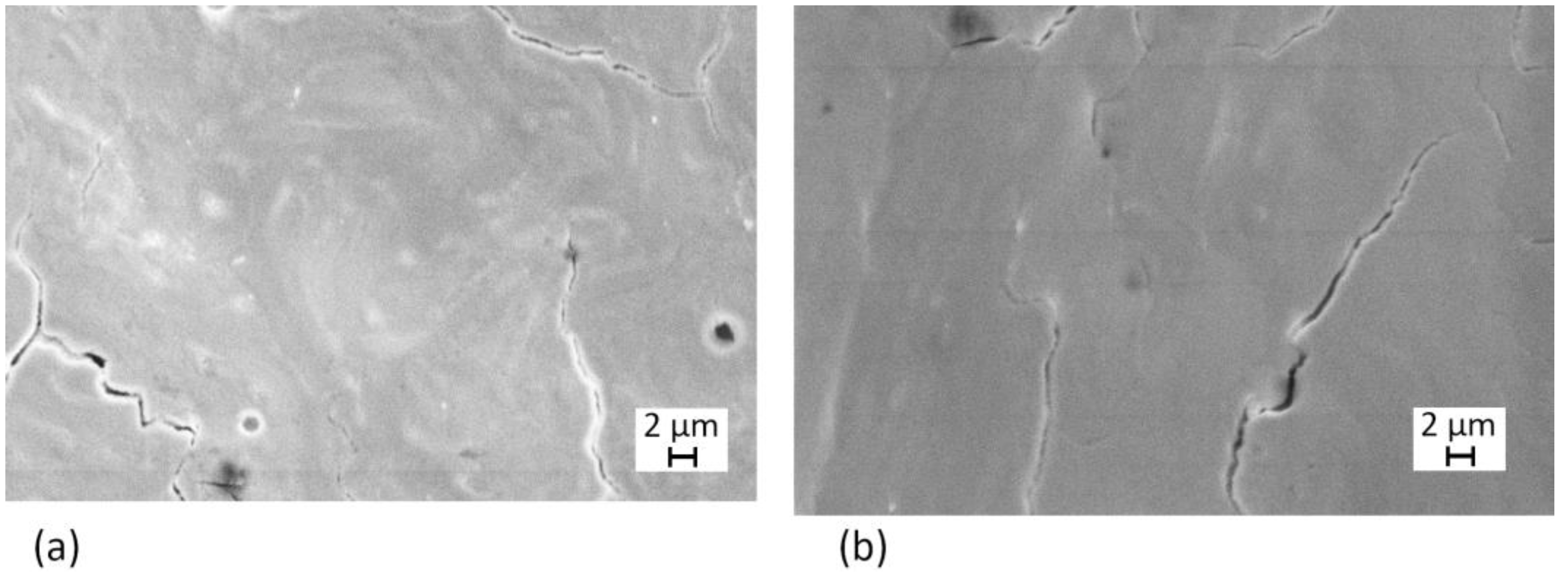 Coatings 15 00198 g011
