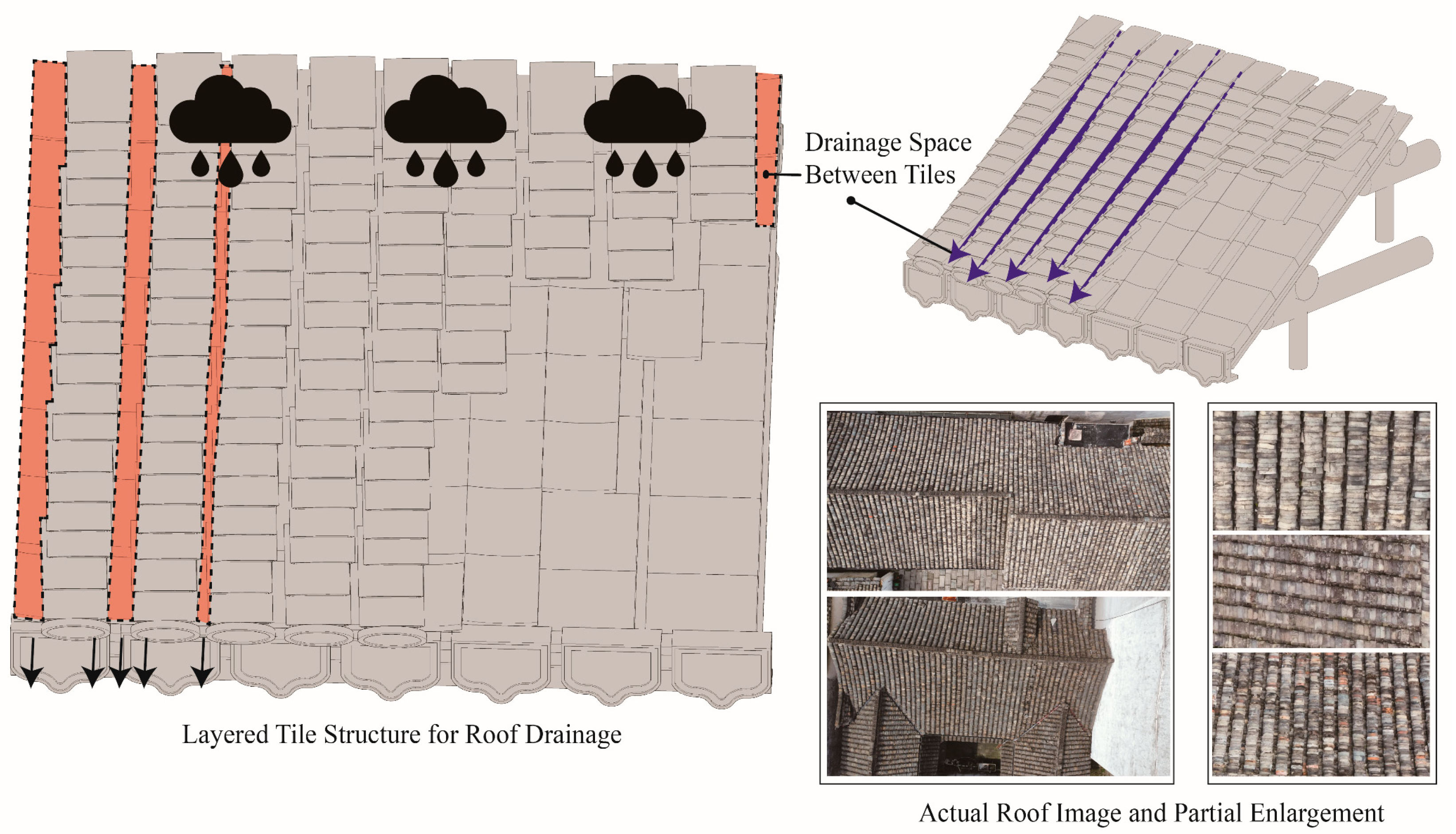 Coatings 15 00205 g007