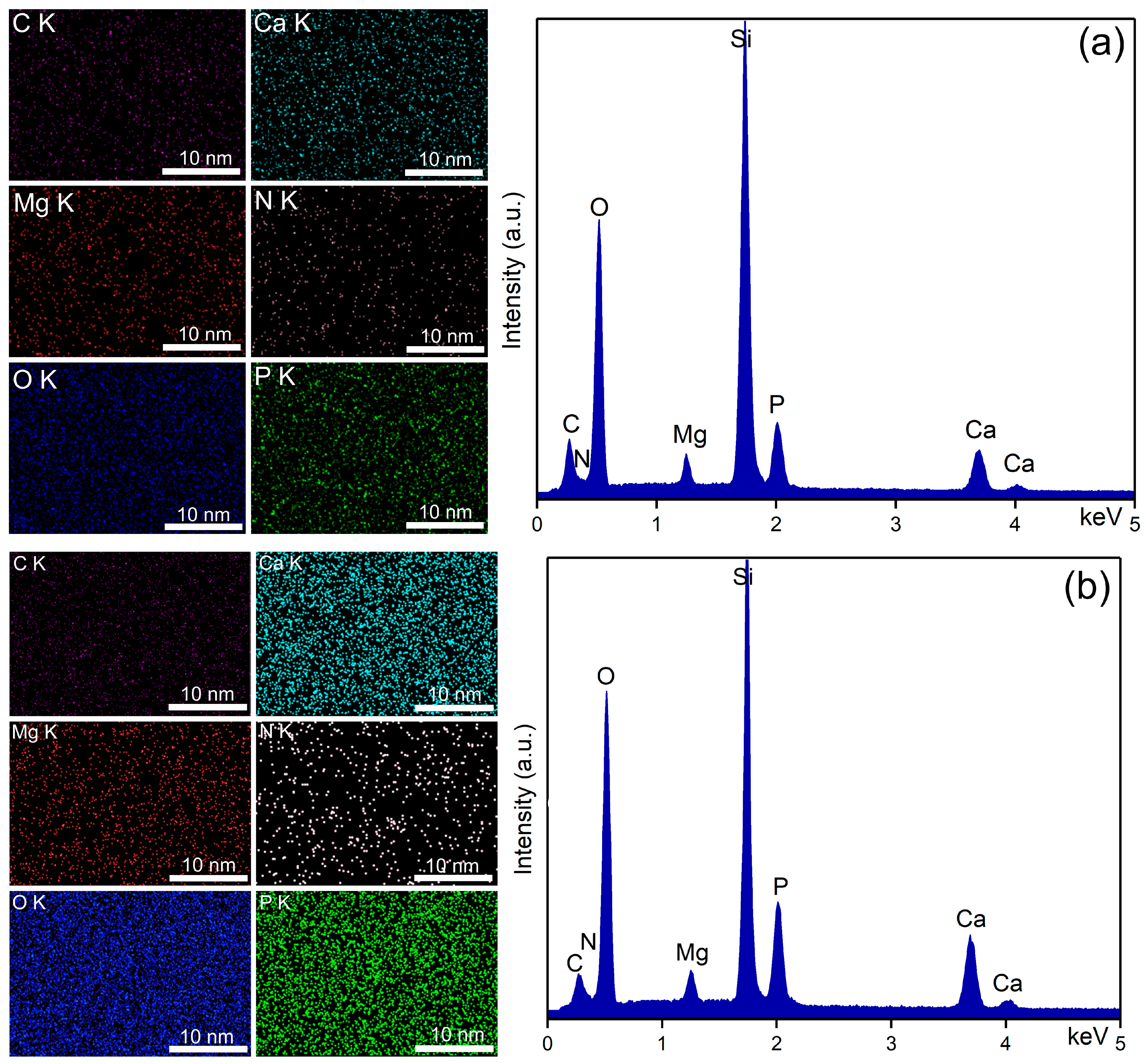 Coatings 15 00209 g004 Coatings 15 00209 g004
