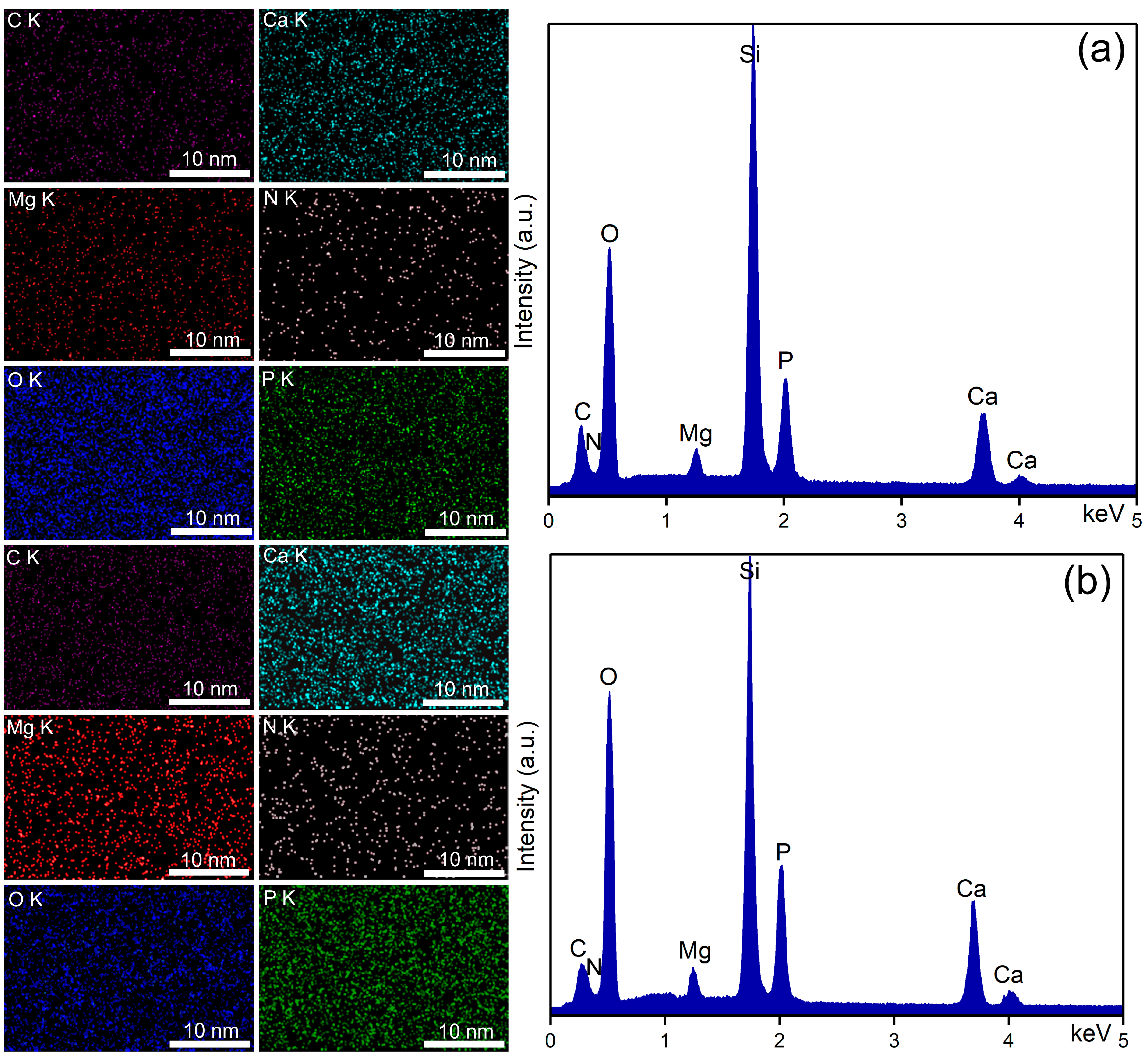 Coatings 15 00209 g005 Coatings 15 00209 g005