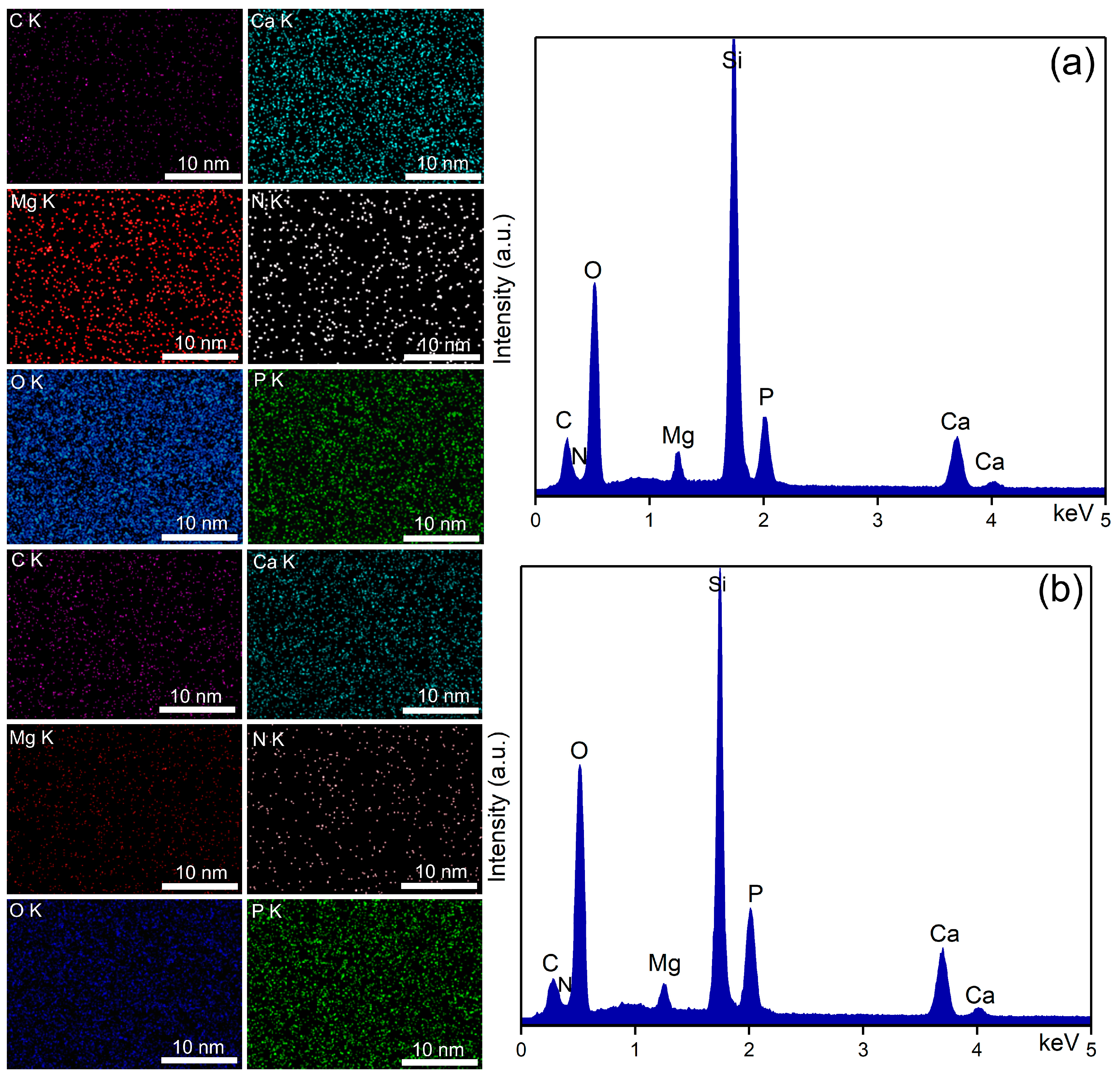 Coatings 15 00209 g006 Coatings 15 00209 g006